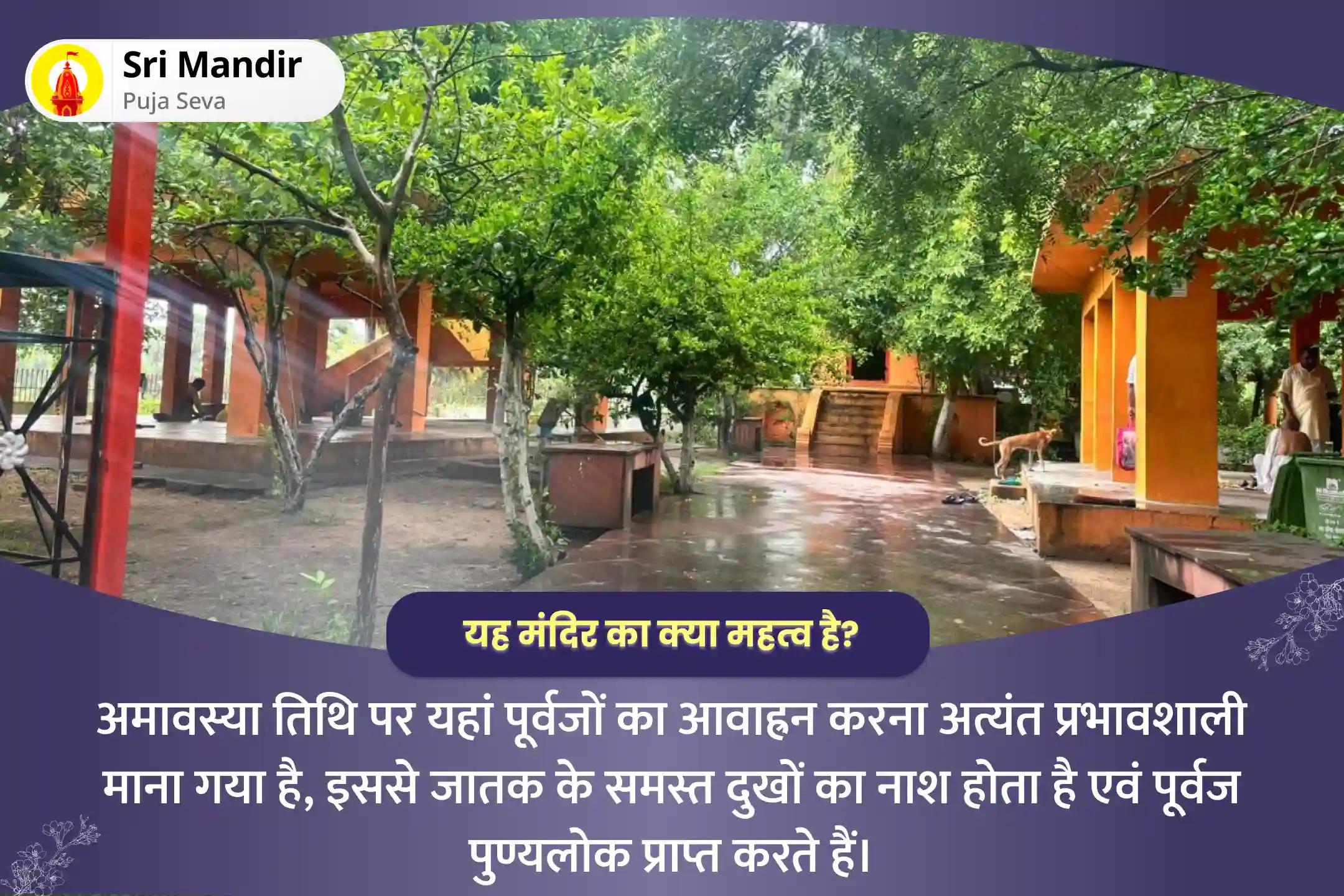 पूर्वजों की आत्मा की शांति और पारिवारिक क्लेश से मुक्ति के लिए अमावस्या तिथि देवता गया विशेष पितृ दोष निवारण त्रिपिंडी श्राद्ध पूजा