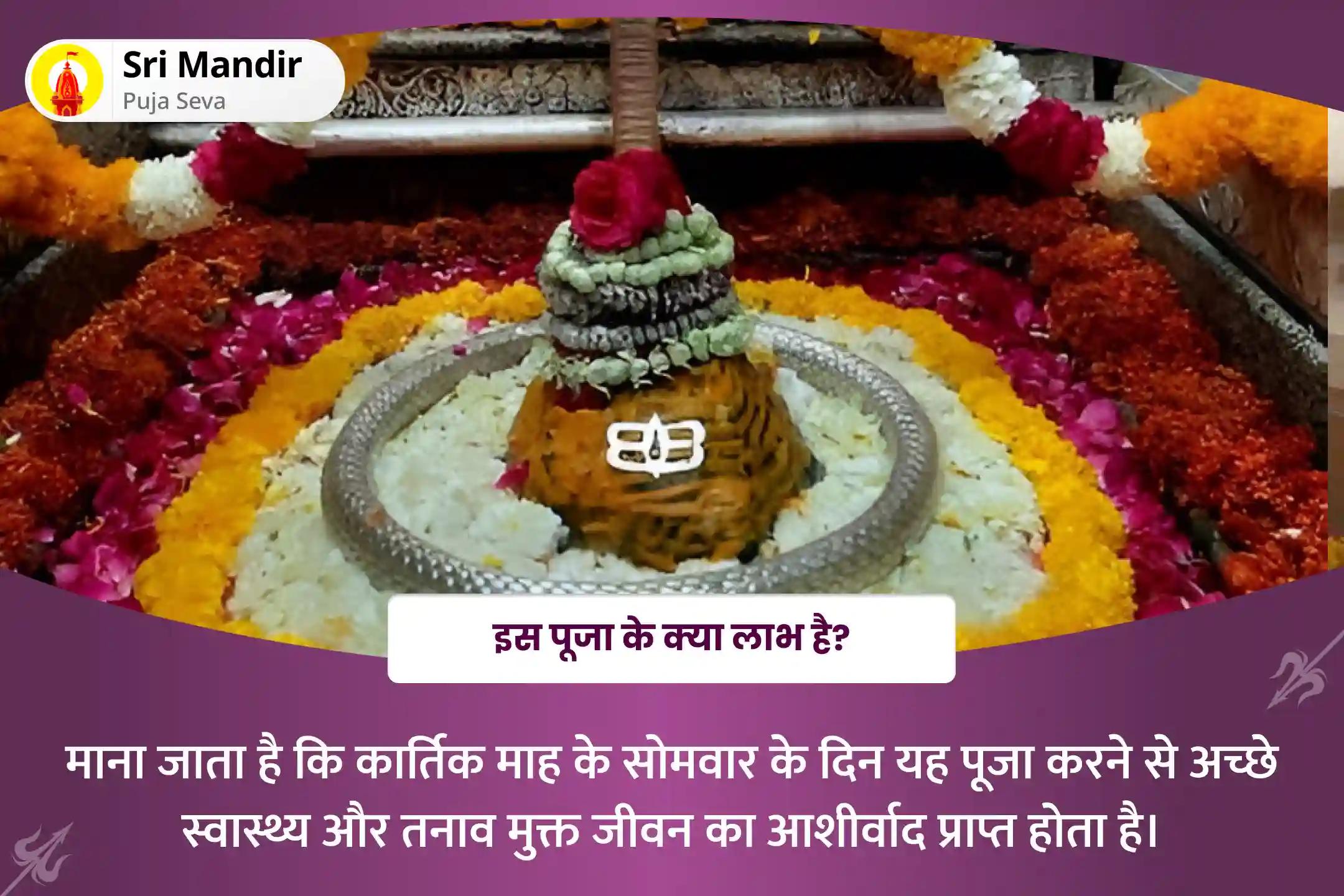 ऋण मुक्ति एवं धन की प्रचुरता के लिए कार्तिक सोमवार ज्योतिर्लिंग विशेष ऋण मुक्ति एवं प्रचुर धन ऋण मुक्ति शिव हवन एवं रुद्राभिषेक