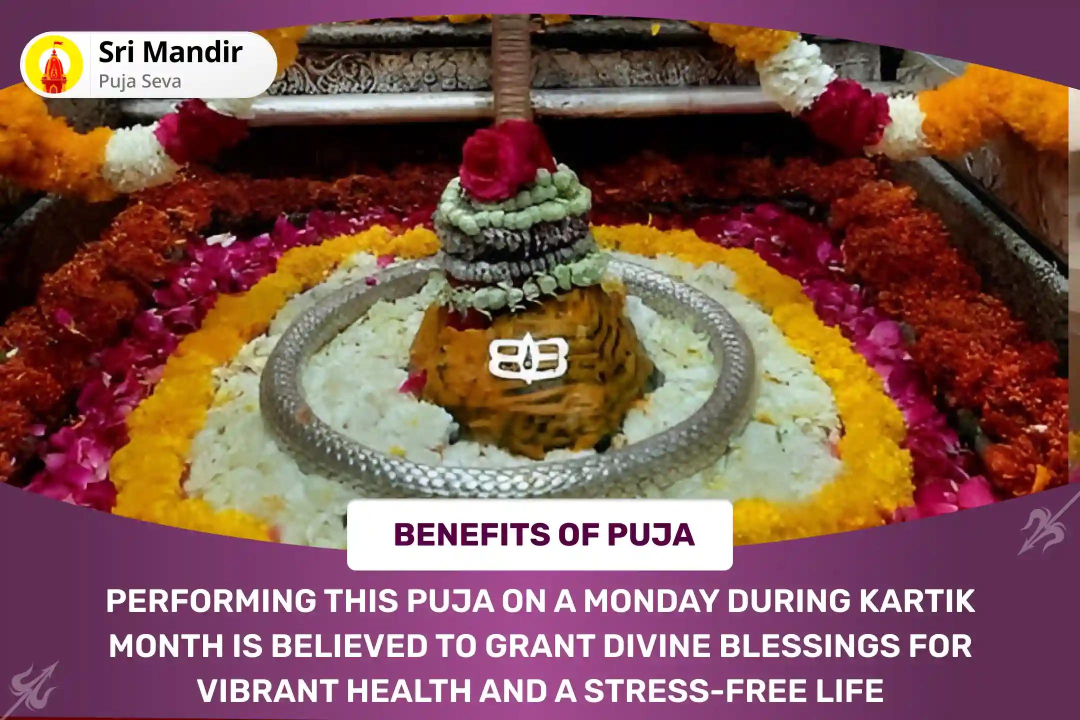 Kartik Monday Jyotirlinga Special Debt Relief and Abundance of Wealth Rin Mukti Shiv Havan and Rudrabhishek Debt Relief and Abundance of Wealth