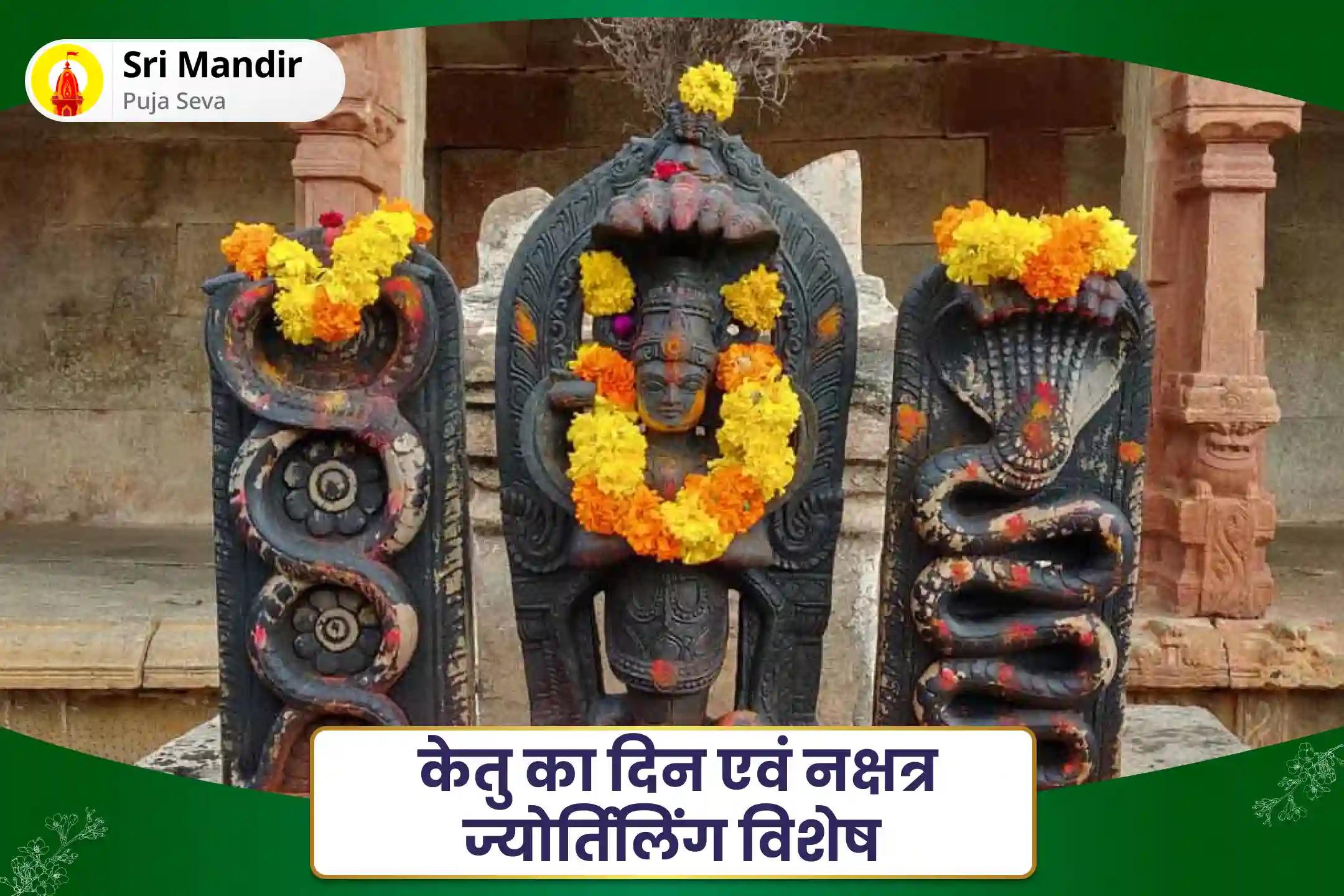 निर्भयता और मानसिक स्थिरता प्राप्त करने के लिए केतु का दिन एवं नक्षत्र ज्योर्तिलिंग विशेष काल सर्प दोष शांति पूजा