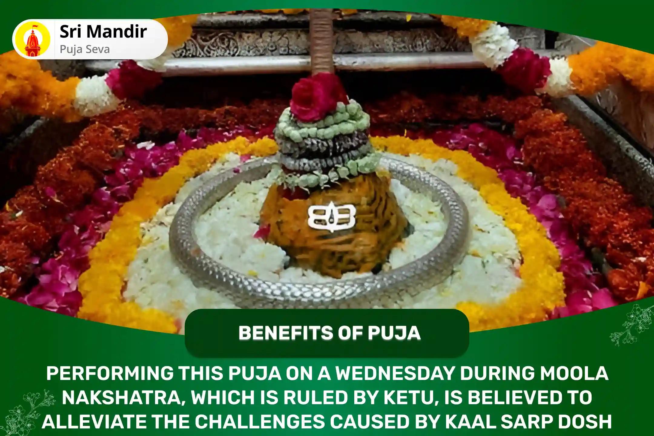 Day and Nakshatra of Ketu Jyotirlinga Special Kaal Sarp Dosha Shanti Puja for Fearlessness and Achieving Mental Stability