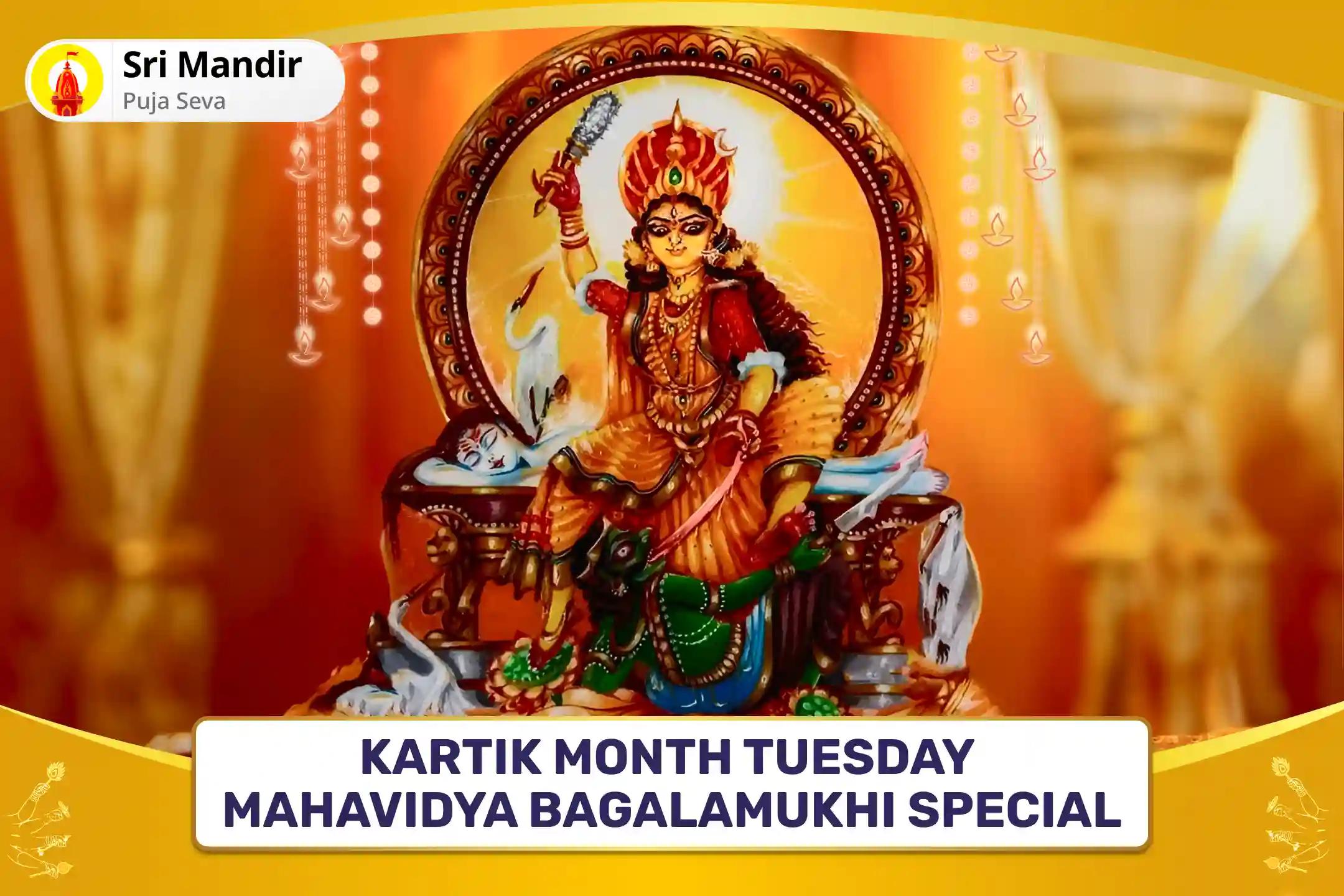 Kartik Month Tuesday Mahavidya Bagalamukhi Special Sarv Karya Siddhi Maha Pitambari Dhan Samriddhi Pujan for Blessings of Debt-Relief and Protection from Financial Distress