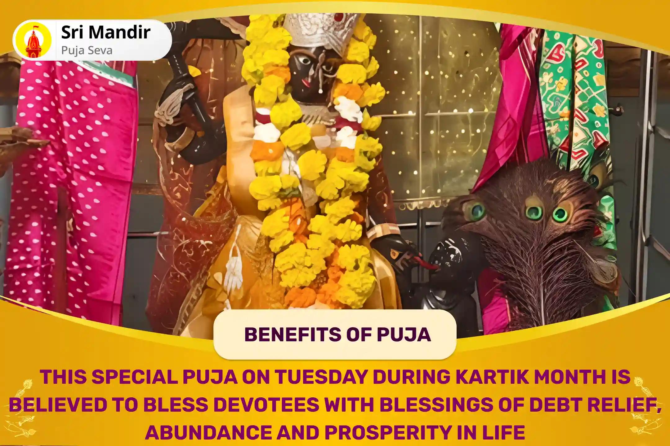 Kartik Month Tuesday Mahavidya Bagalamukhi Special Sarv Karya Siddhi Maha Pitambari Dhan Samriddhi Pujan for Blessings of Debt-Relief and Protection from Financial Distress