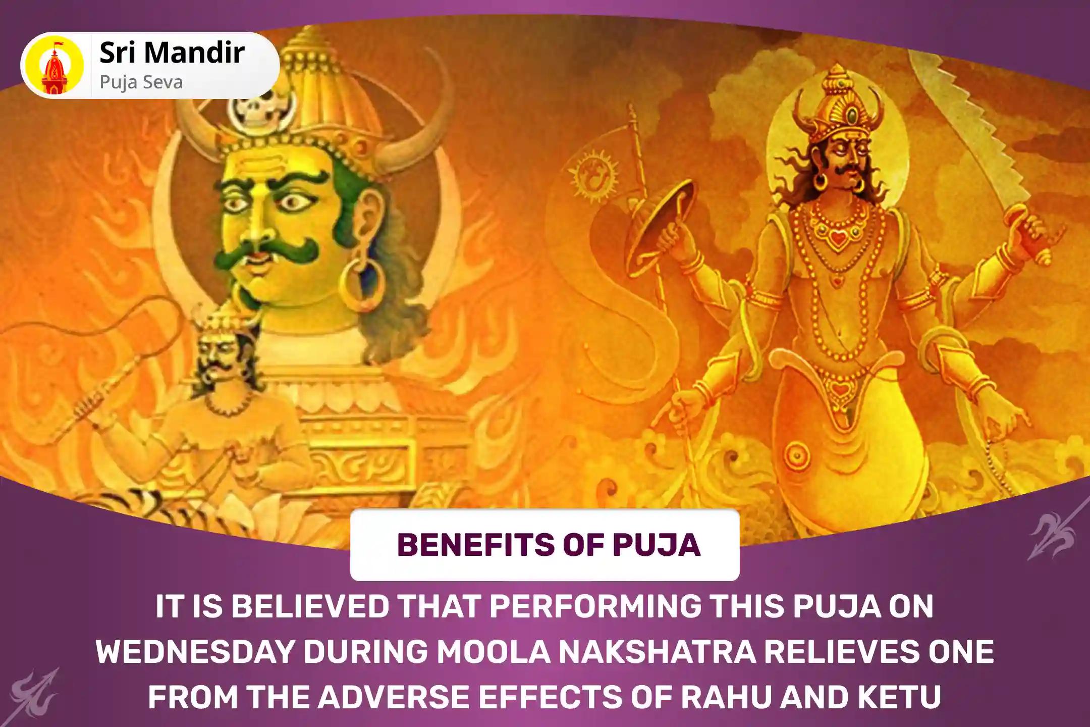 Rahu-Ketu Shanti Nakshatra Special Rahu-Ketu Peeda Shanti Puja and Shiv Rudrabishek to get Blessing for Mental clarity and Improved Decision-Making