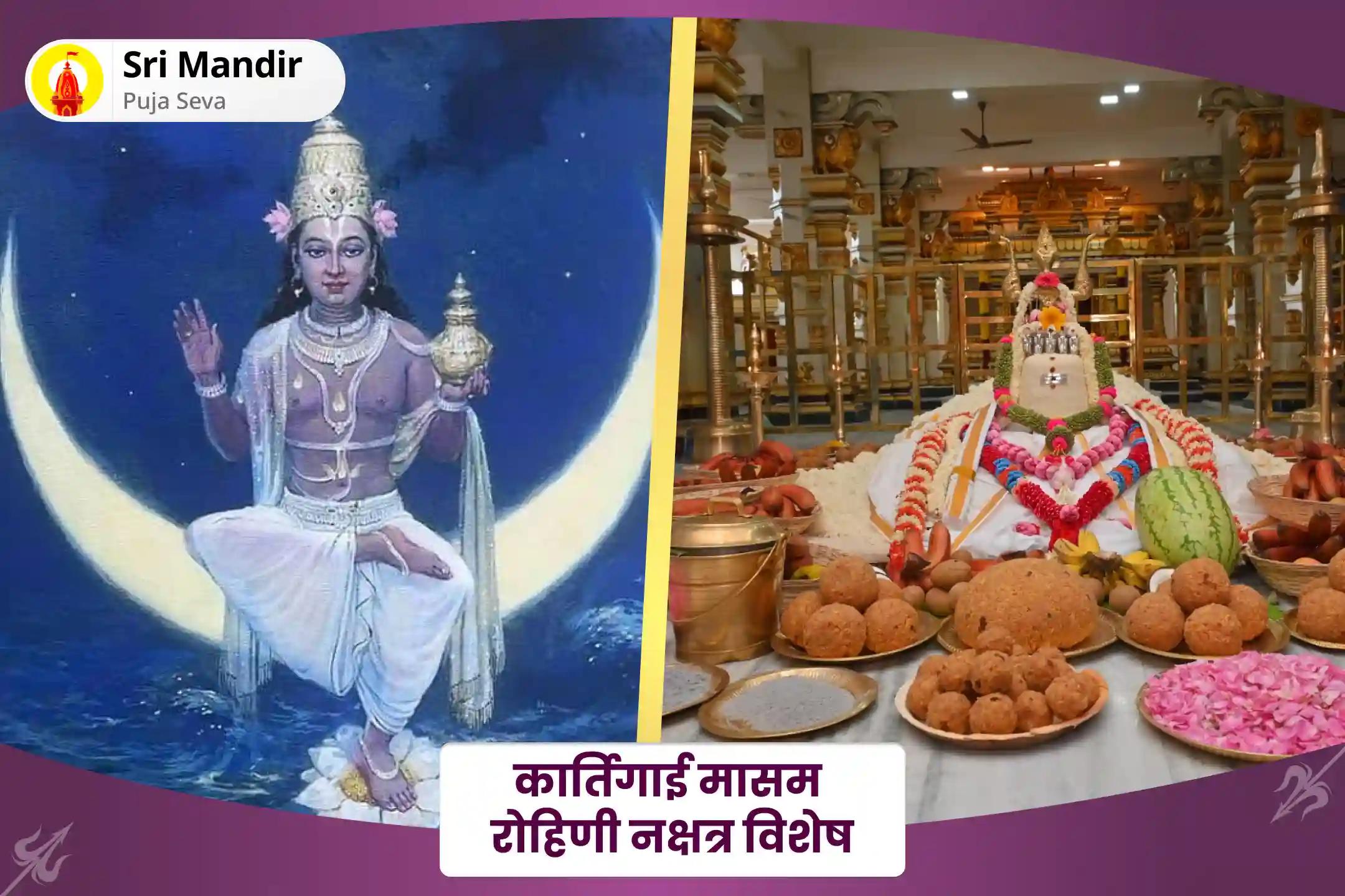 मानसिक और शारीरिक कल्याण के आशीर्वाद के लिए कार्तिगाई मासम् रोहिणी नक्षत्र विशेष अन्न लिंगम पूजा और 10,000 चंद्र दोष शांति पूजा