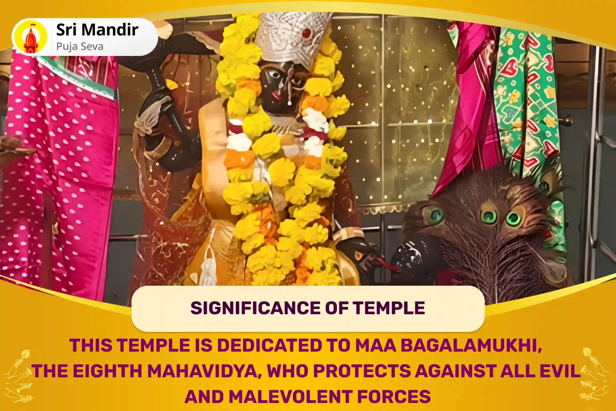 Kaal Bhairav Jayanti 25 Brahmin Mahanushthan 1,25,000 Bagalamukhi Mool Mantra Jaap and Bagalamukhi Dandadhikari Bhairav Pujan For Devi's Protection to Repel Malevolent Energies and Negative Influences