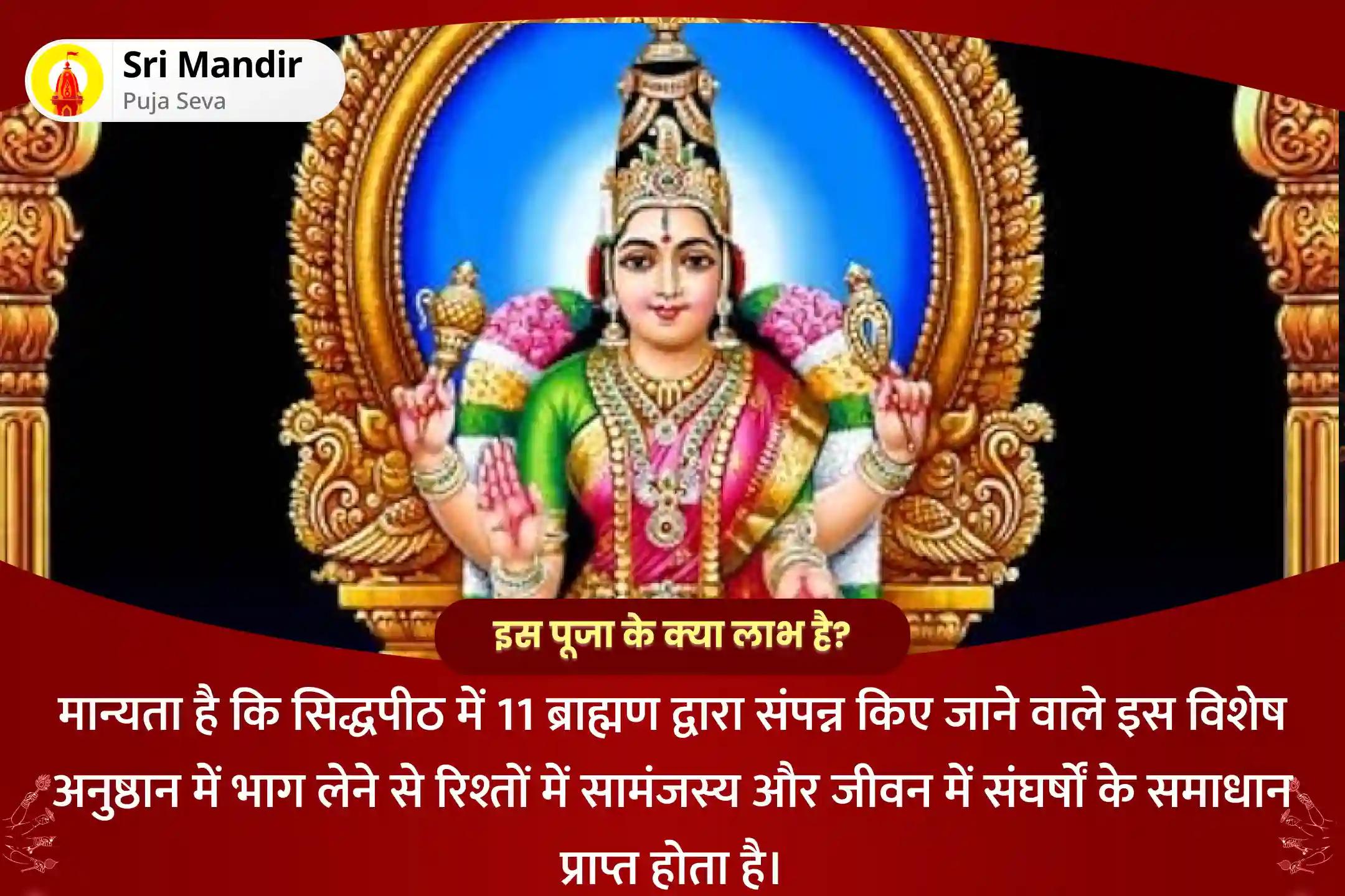रिश्तों में सामंजस्य और जीवन में संघर्षों के समाधान के लिए सिद्धपीठ दस महाविद्या 11 ब्राह्मण महानुष्ठान 11 दुर्गा सप्तशती पाठ, 21,000 माँ भुवनेश्वरी मूल मंत्र जाप एवं दशांश हवन