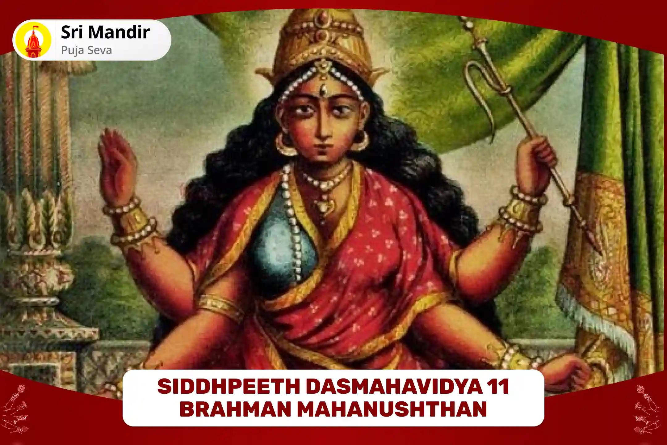 Siddhpeeth Dasmahavidya 11 Brahman Mahanushthan 11 Durga Saptashati Path, 21,000 Maa Bhuwaneshwari Mool Mantra Jaap and Dashansh Havan for Blessings of Harmony in Relationships and Resolving Conflicts in Life