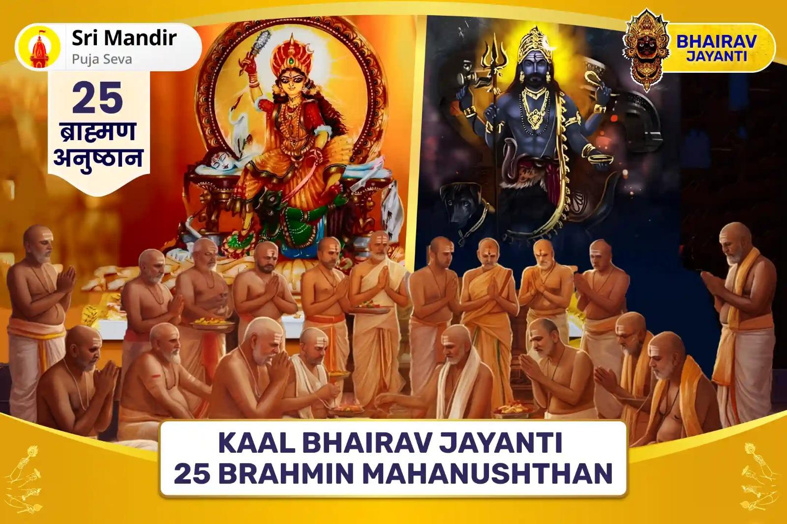Kaal Bhairav Jayanti 25 Brahmin Mahanushthan 1,25,000 Bagalamukhi Mool Mantra Jaap and Bagalamukhi Dandadhikari Bhairav Pujan For Devi's Protection to Repel Malevolent Energies and Negative Influences