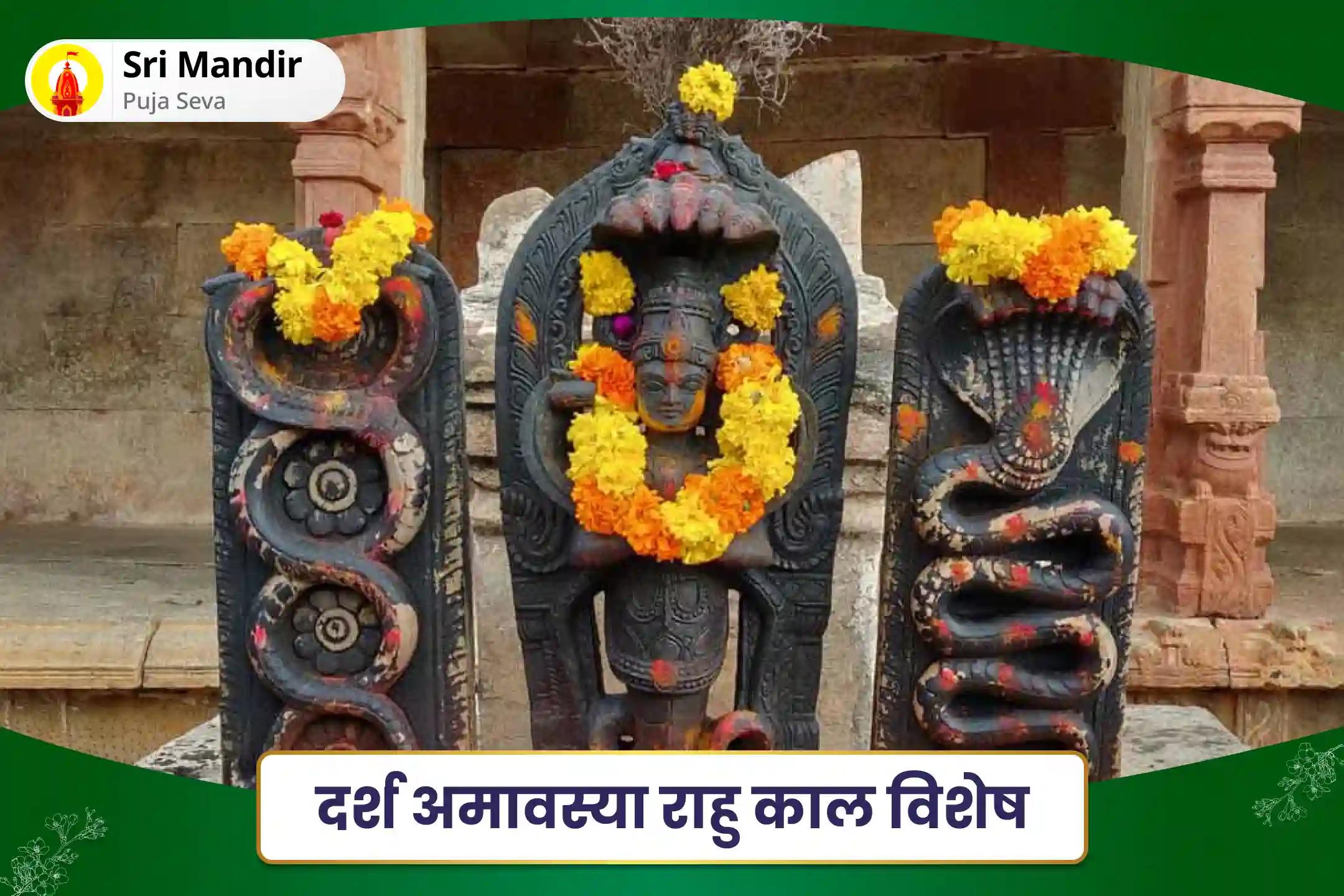 निर्भयता और मानसिक स्थिरता प्राप्त करने के लिए दर्श अमावस्या राहु काल विशेष काल सर्प दोष शांति पूजा 