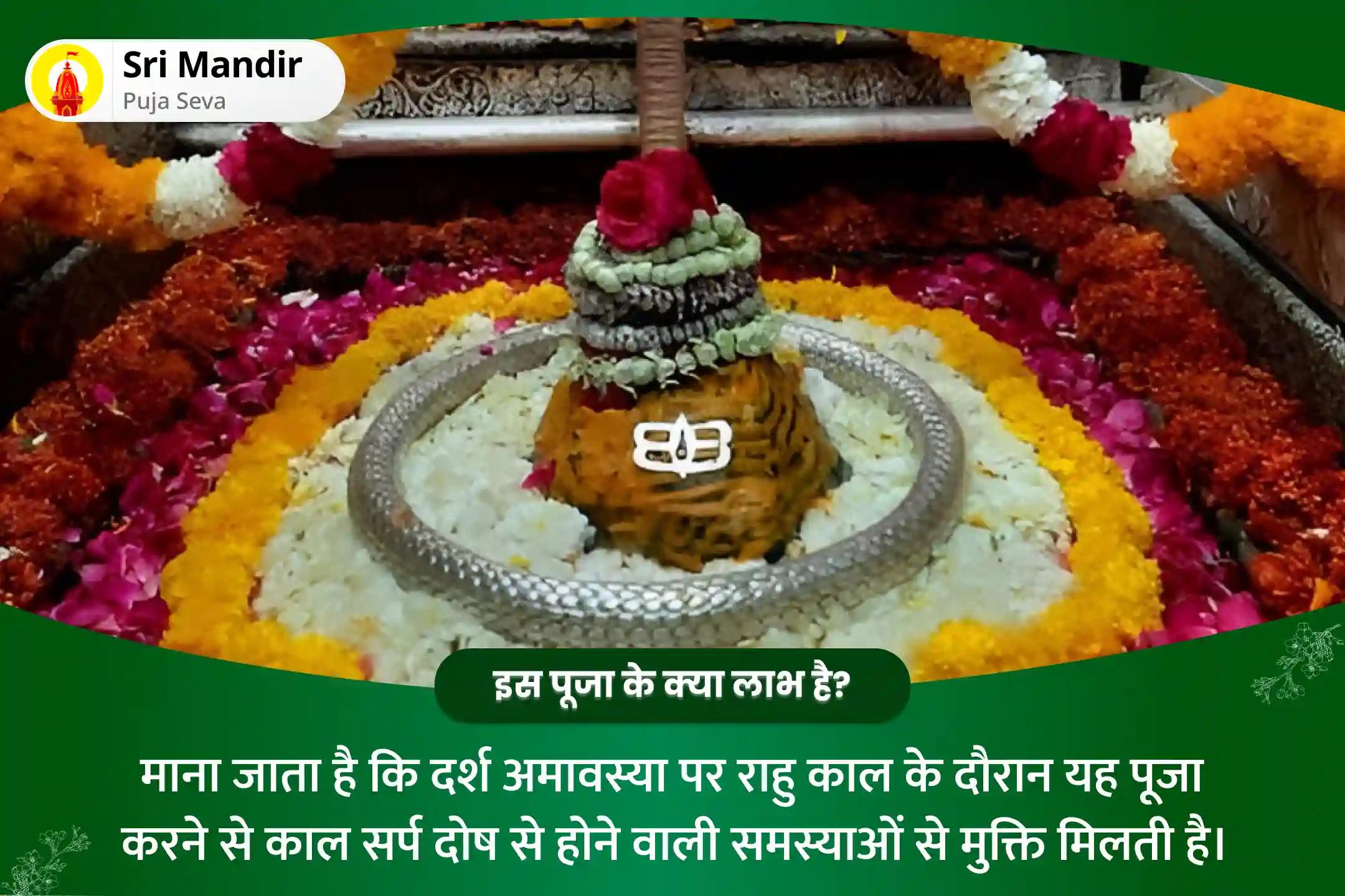 निर्भयता और मानसिक स्थिरता प्राप्त करने के लिए दर्श अमावस्या राहु काल विशेष काल सर्प दोष शांति पूजा 