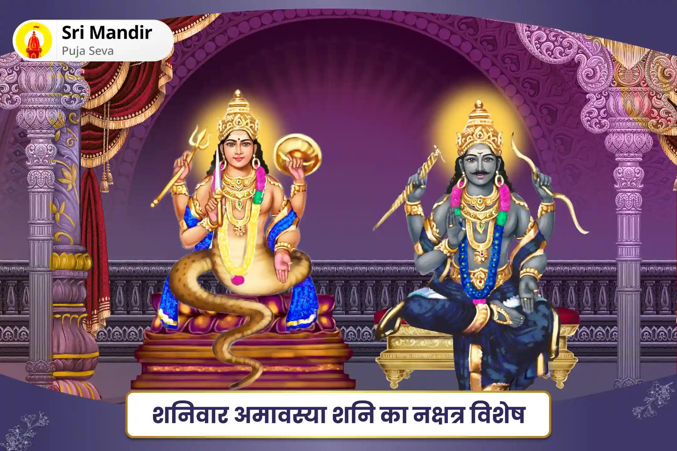 जीवन में बाधाओं और विलंब से सुरक्षा के लिए शनिवार अमावस्या शनि का नक्षत्र विशेष राहु-शनि श्रापित दोष शांति हवन एवं तिल तेल अभिषेक