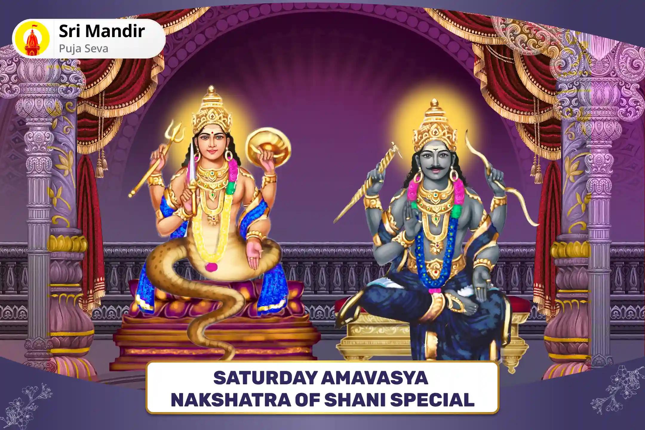 Saturday Amavasya Nakshatra of Shani Special Rahu-Shani Shrapit Dosh Shanti Havan and Til Tel Abhishek for Overcoming Delays and Obstacles in Life