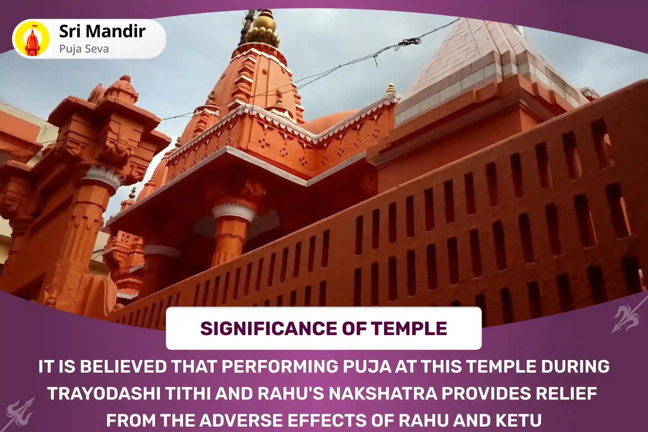 Krishna Trayodashi Nakshatra of Rahu Special Rahu-Ketu Peeda Shanti Puja and Shiv Rudrabishek to get Blessing for Mental clarity and Improved Decision-Making