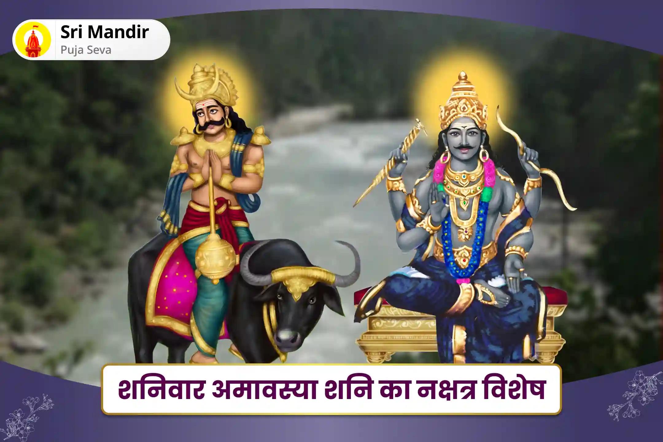 दीर्घायु के आशीर्वाद और दुर्भाग्य एवं विलंब से सुरक्षा के लिए शनिवार अमावस्या शनि का नक्षत्र विशेष यम दंड मुक्ति पूजा, 19,000 शनि मूल मंत्र जाप और हवन