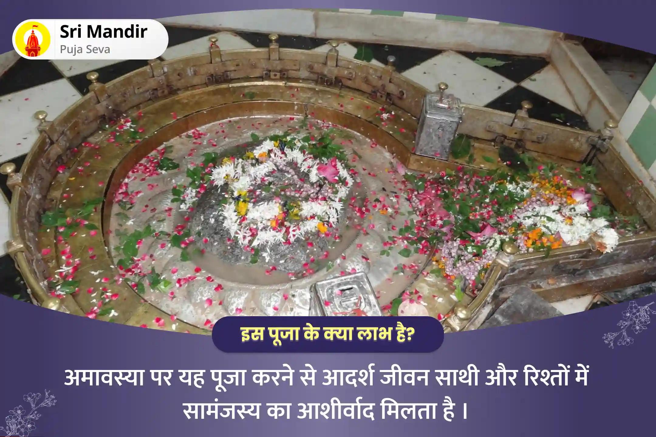 आदर्श साथी और रिश्ते के आनंद को पाने के आशीर्वाद के लिए अमावस्या गौरी केदारेश्वर विवाह उत्सव काल विशेष गौरी केदारेश्वर विवाह सिद्धि अमावस्या शांति पूजा