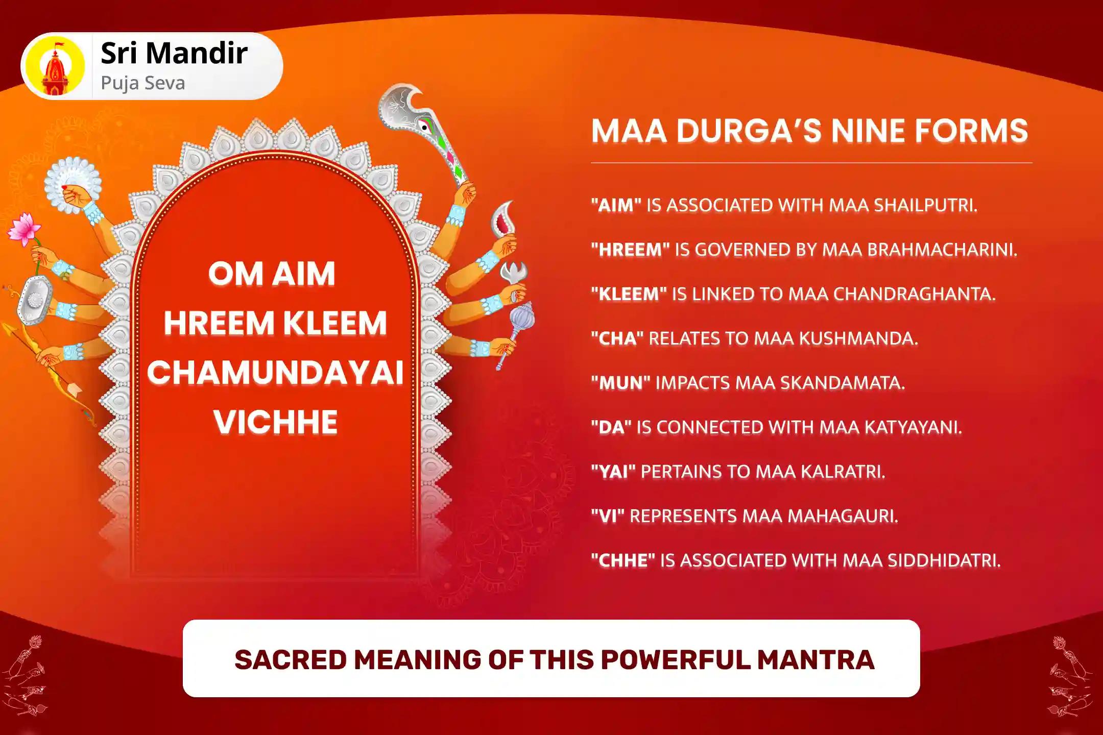 Durga Ashtami Devi Raksha Mantra Jaap Special 1,25,000 Navarna Mantra Jaap, Durga Saptashati and Nav Chandi Mahayagya Blessings for Success and Fulfillment of Desires