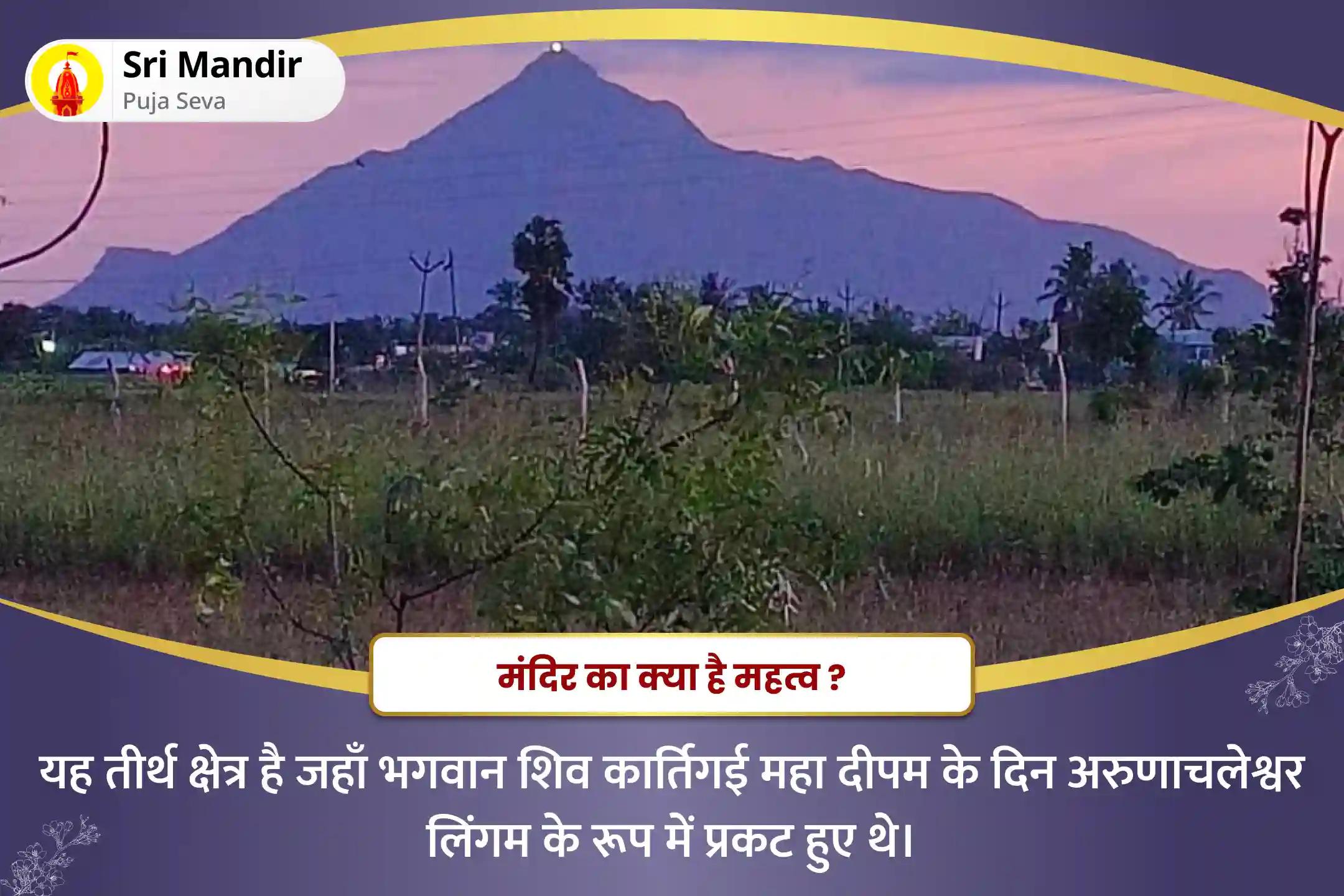 आत्मज्ञान एवं कर्म चक्र से मुक्ति के लिए कार्तिगाई महा दीपम लाइव दर्शन विशेष अरुणाचल तीर्थ शिव पार्वती कल्याणम महारुद्र हवन और लाइव अरुणाचलेश्वर दीपम दर्शन-clone