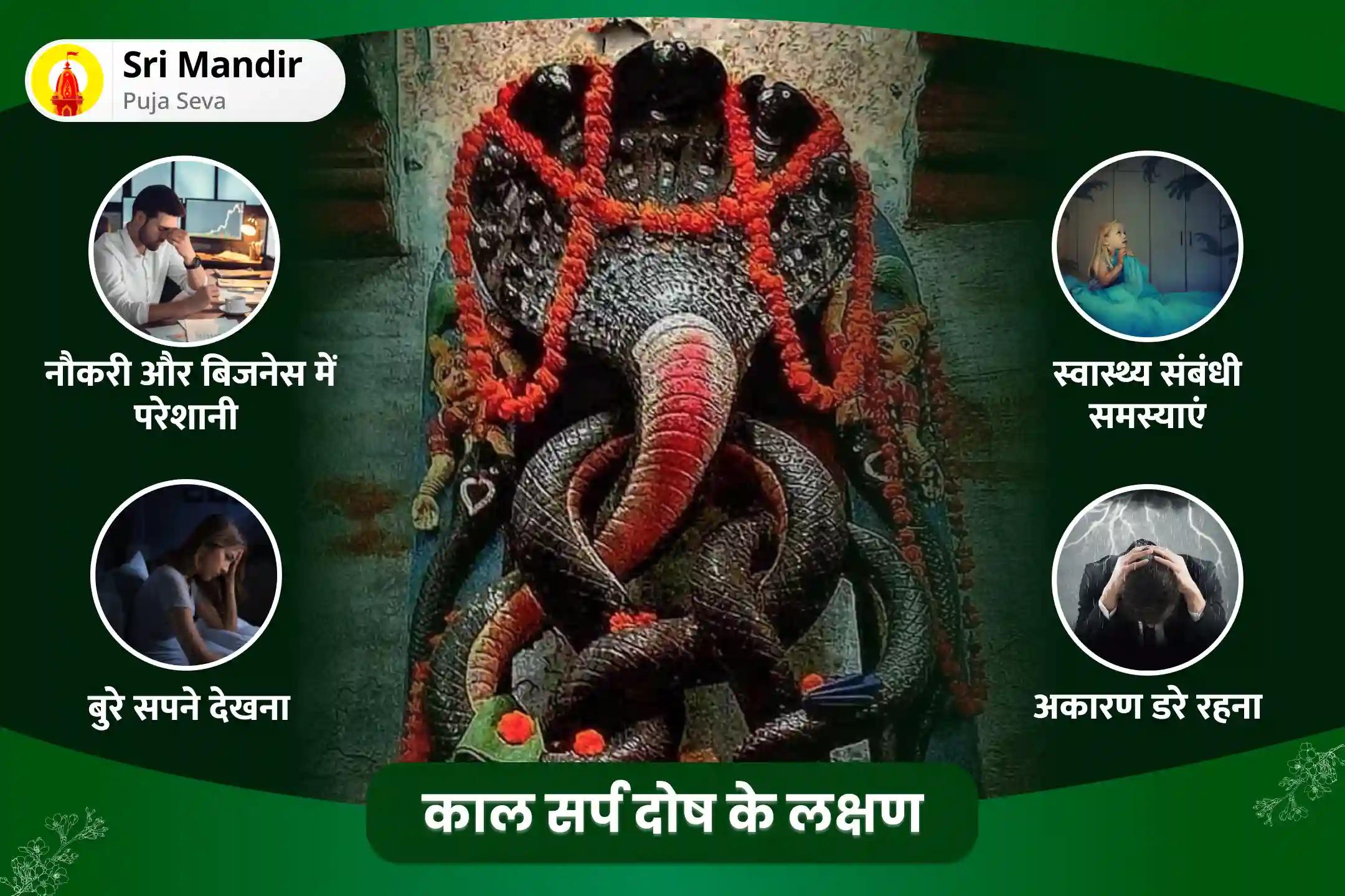 निडरता और मानसिक स्थिरता प्राप्त करने के लिए केतु का दिन राहु पैठाणी विशेष काल सर्प दोष शांति पूजा एवं शिव रुद्राभिषेक