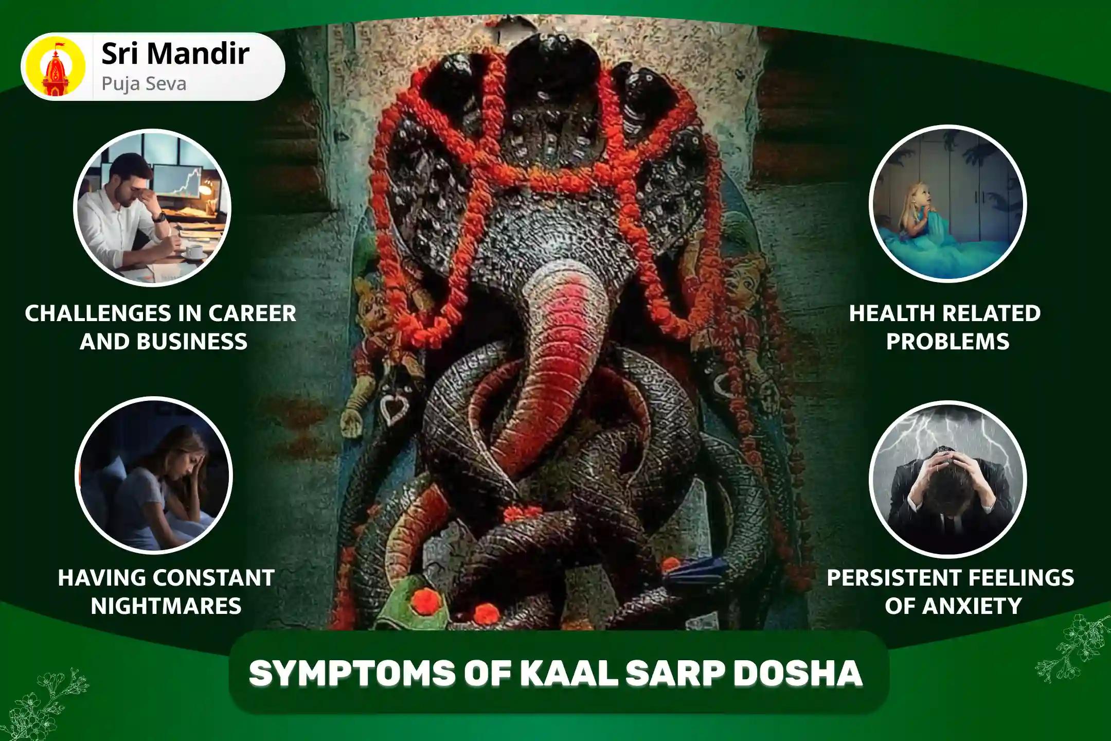 Day of Ketu Rahu Paithani Special Kaal Sarp Dosh Shanti Puja and Shiv Rudrabhishek For Fearlessness and Achieving Mental Stability