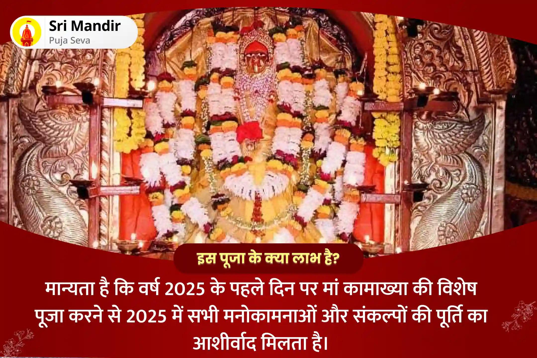 सभी मनोकामनाओं की पूर्ति के लिए 2025 प्रथम दुर्गा अष्टमी कामेश्वरी विशेष माँ कामेश्वरी तंत्रयुक्त पूजा एवं यज्ञ
