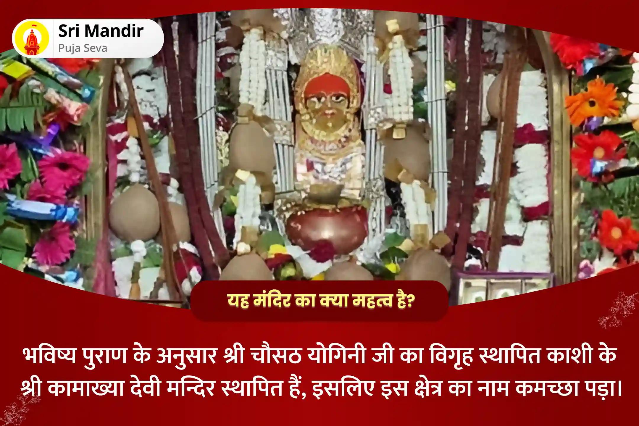 सभी मनोकामनाओं की पूर्ति के लिए 2025 प्रथम दुर्गा अष्टमी कामेश्वरी विशेष माँ कामेश्वरी तंत्रयुक्त पूजा एवं यज्ञ