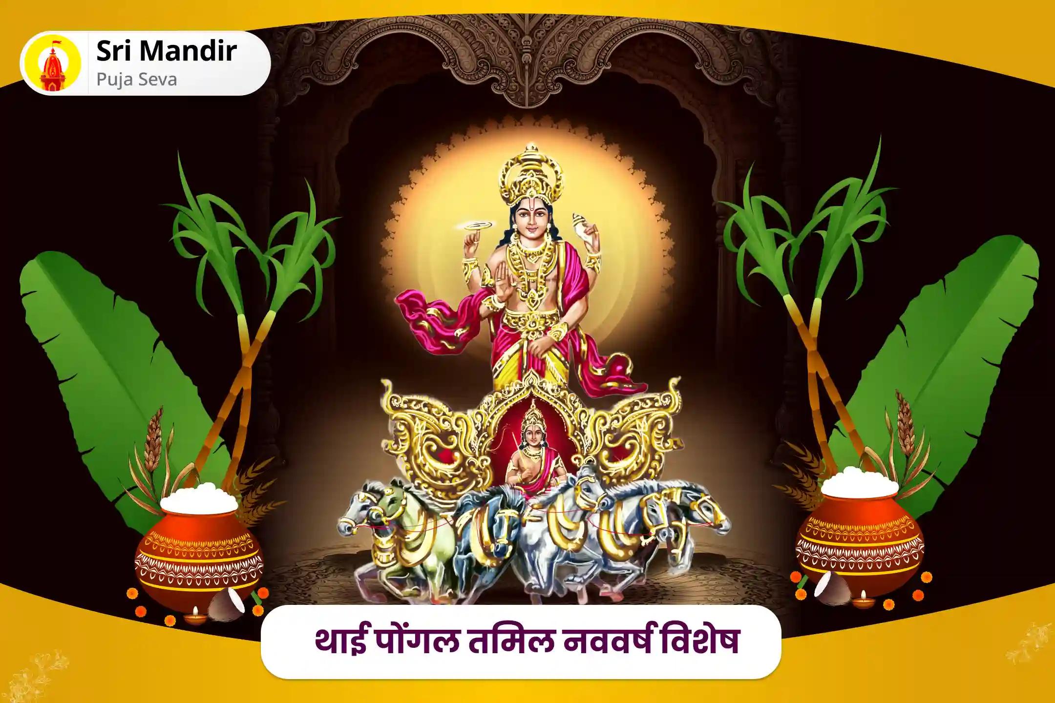 नए साल में स्वास्थ्य, समृद्धि और सफलता के लिए थाई पोंगल तमिल नववर्ष विशेष थाई पोंगल सूर्य नारायण पूजा, सूर्य नारायण हवन और अन्न दान सेवा