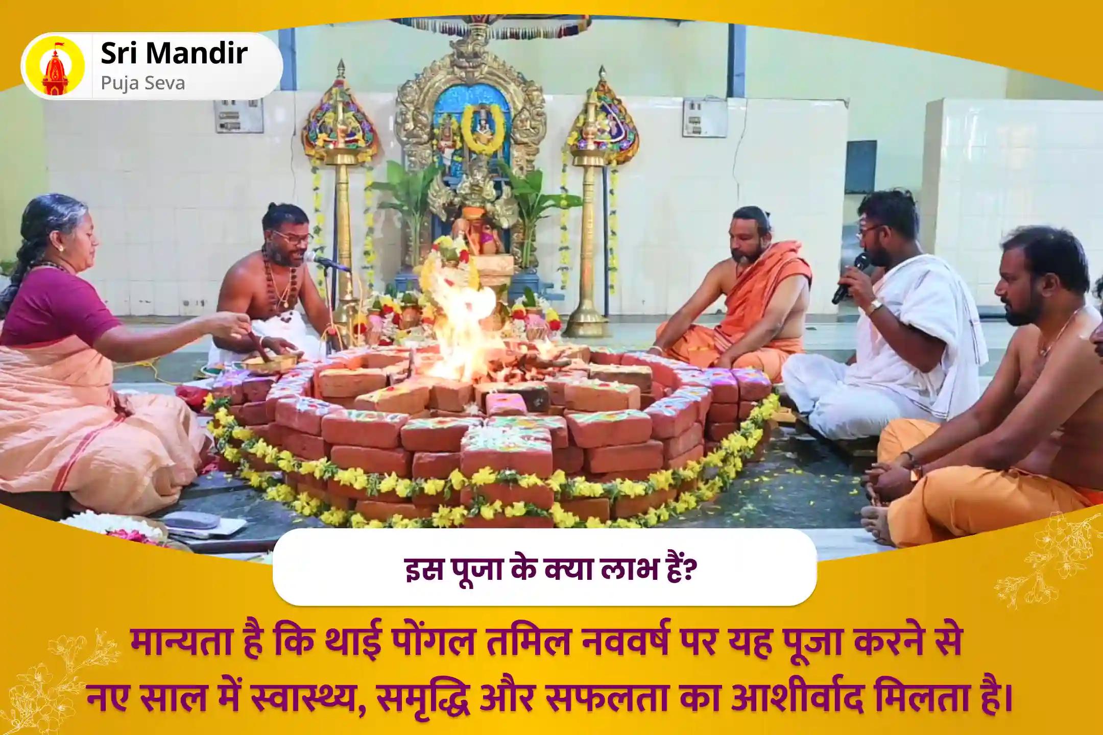 नए साल में स्वास्थ्य, समृद्धि और सफलता के लिए थाई पोंगल तमिल नववर्ष विशेष थाई पोंगल सूर्य नारायण पूजा, सूर्य नारायण हवन और अन्न दान सेवा
