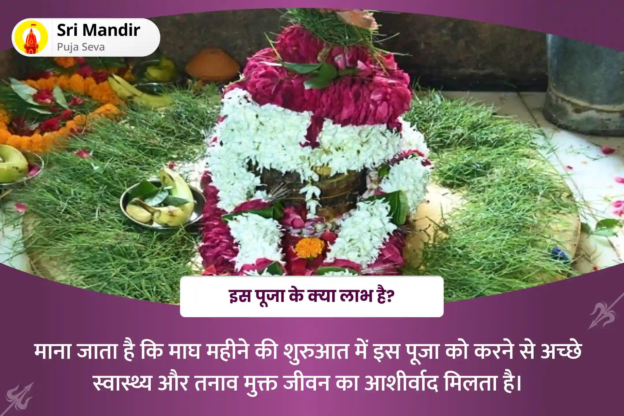 अच्छे स्वास्थ्य और तनाव मुक्त जीवन का आशीर्वाद पाने के लिए माघ मास प्रारम्भ 'स्वास्थ्य के देवता' विशेष 11,000 महामृत्युंजय मंत्र जाप और धनवंतरि हवन 