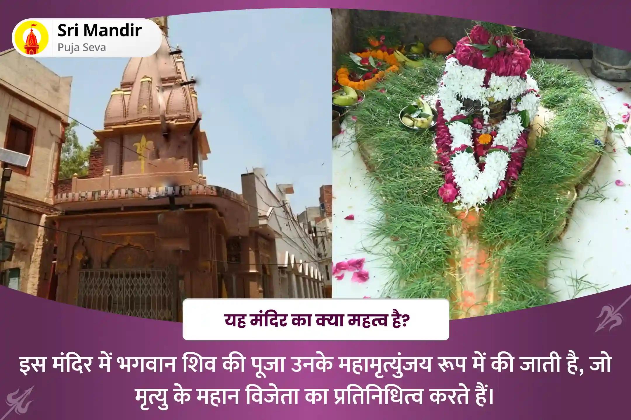 अच्छे स्वास्थ्य और तनाव मुक्त जीवन का आशीर्वाद पाने के लिए माघ मास प्रारम्भ 'स्वास्थ्य के देवता' विशेष 11,000 महामृत्युंजय मंत्र जाप और धनवंतरि हवन 