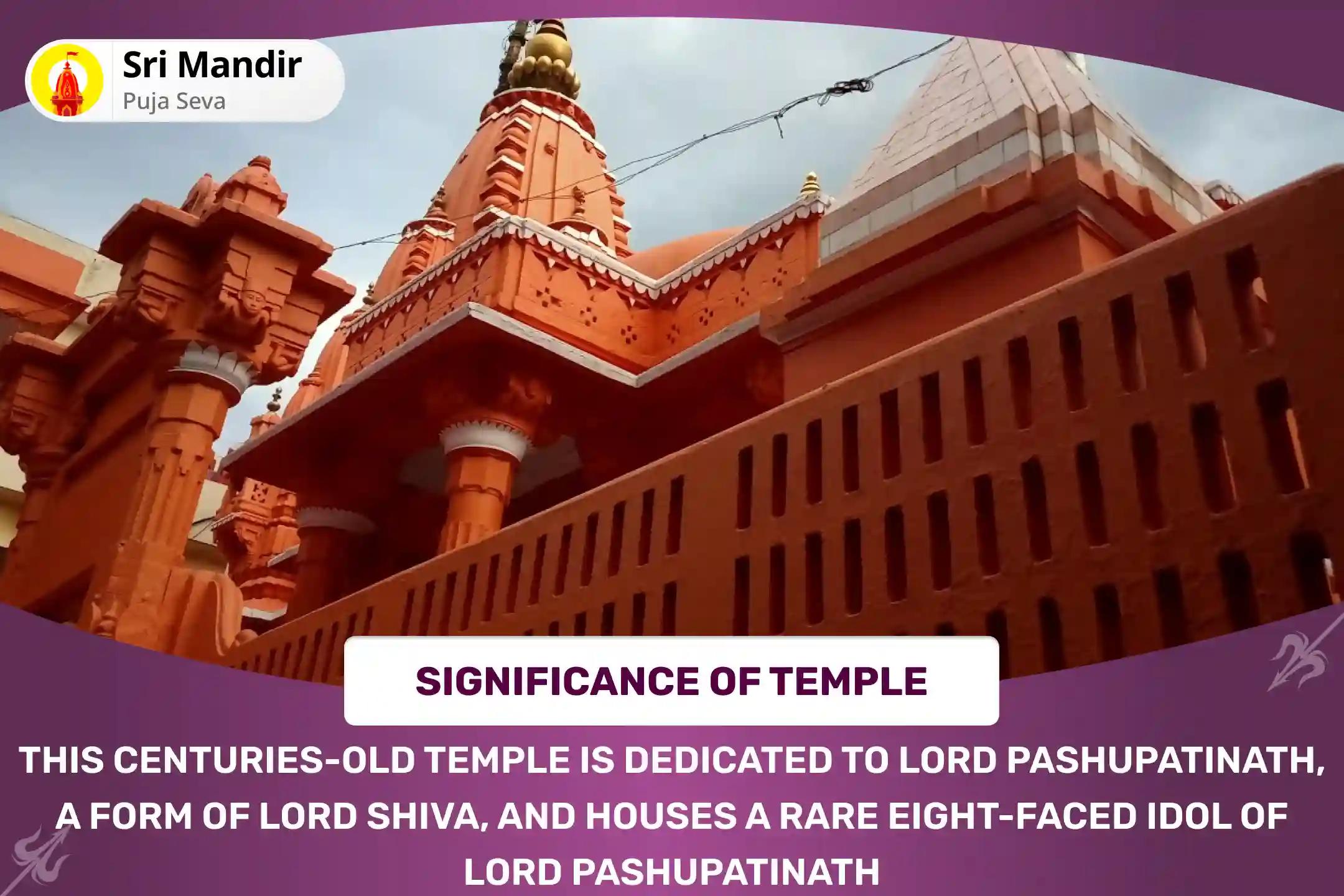 Rahu-Ketu Shanti Nakshatra Special Rahu-Ketu Peeda Shanti Puja and Shiv Rudrabishek for Blessing of Mental Clarity and Improved Decision-Making