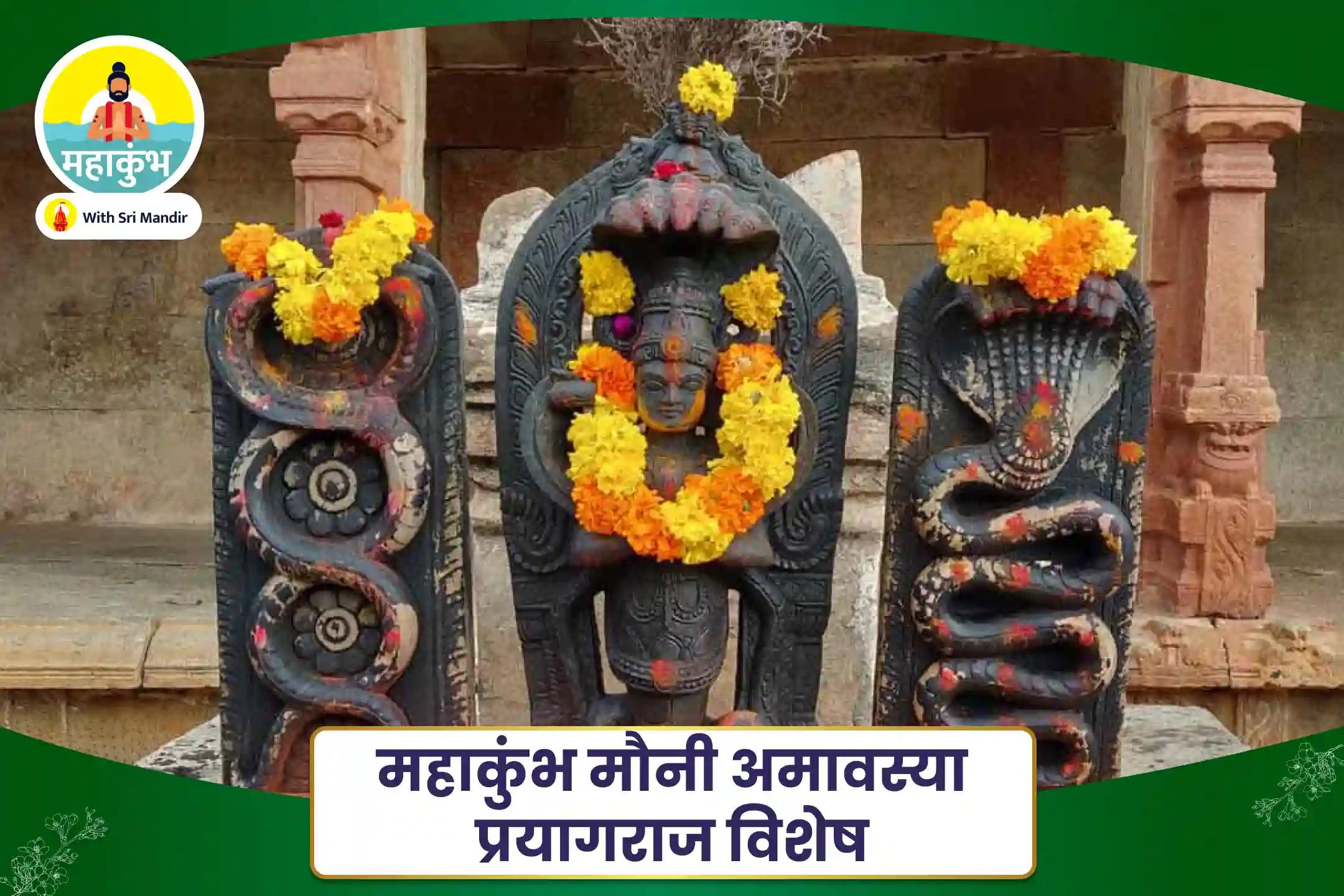 निर्भयता और मानसिक स्थिरता प्राप्त करने के लिए महाकुंभ मौनी अमावस्या प्रयागराज विशेष काल सर्प दोष शांति पूजा