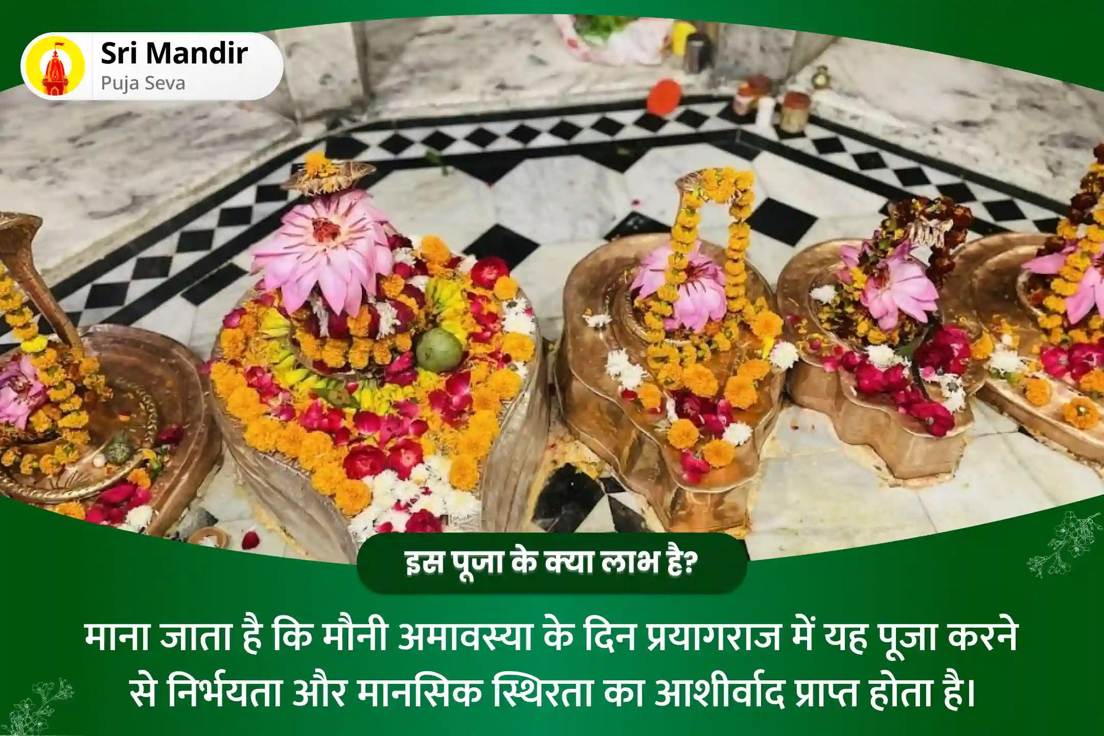 निर्भयता और मानसिक स्थिरता प्राप्त करने के लिए महाकुंभ मौनी अमावस्या प्रयागराज विशेष काल सर्प दोष शांति पूजा