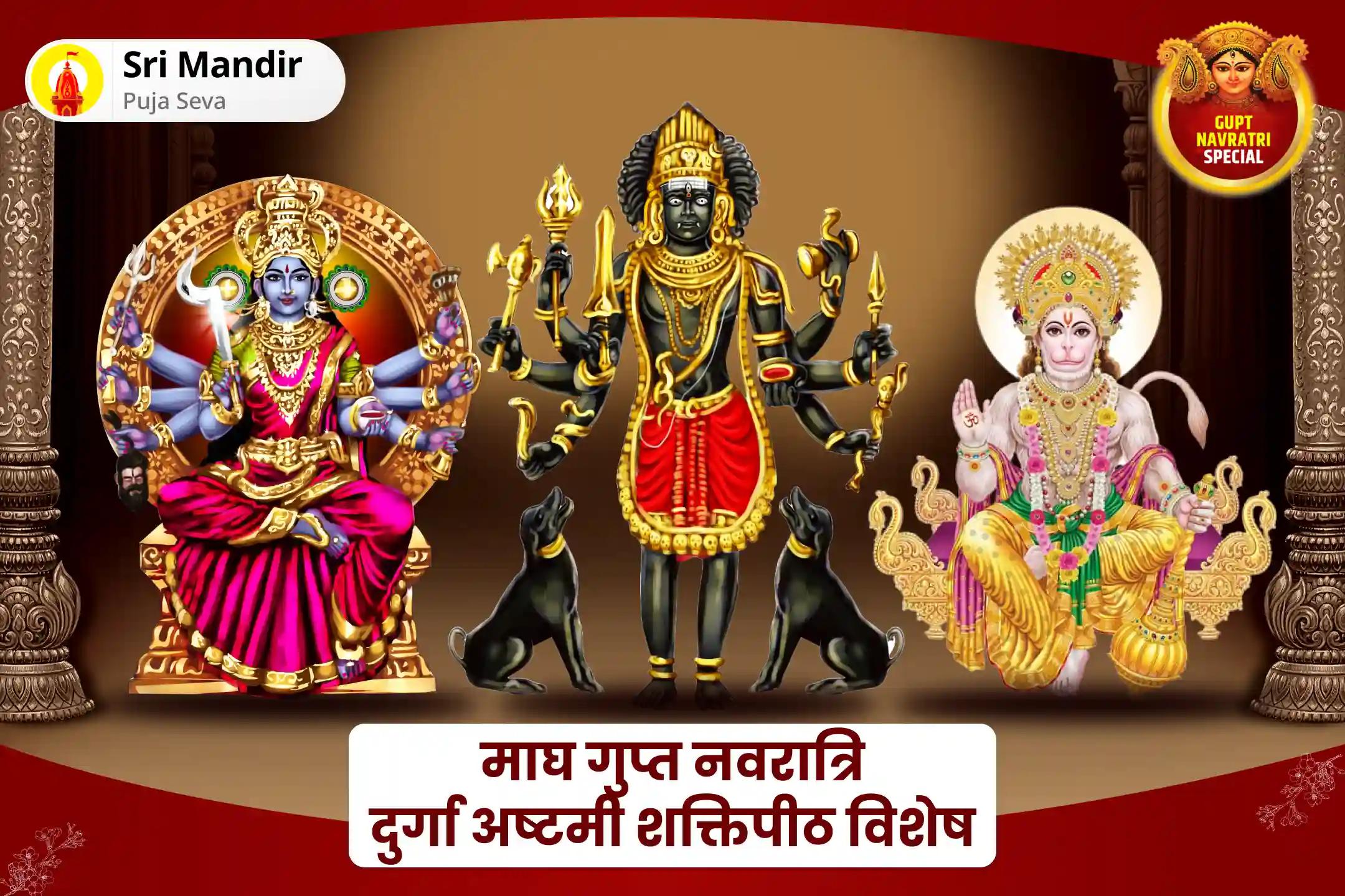  शत्रुओं से सुरक्षा, नकारात्मकता के नाश और जीवन में बाधाओं को दूर करने के लिए माघ गुप्त नवरात्रि दुर्गा अष्टमी विशेष माँ बगलामुखी, काल भैरव और संकट मोचन हनुमान सर्व कष्ट निवारण पूजा और यज्ञ