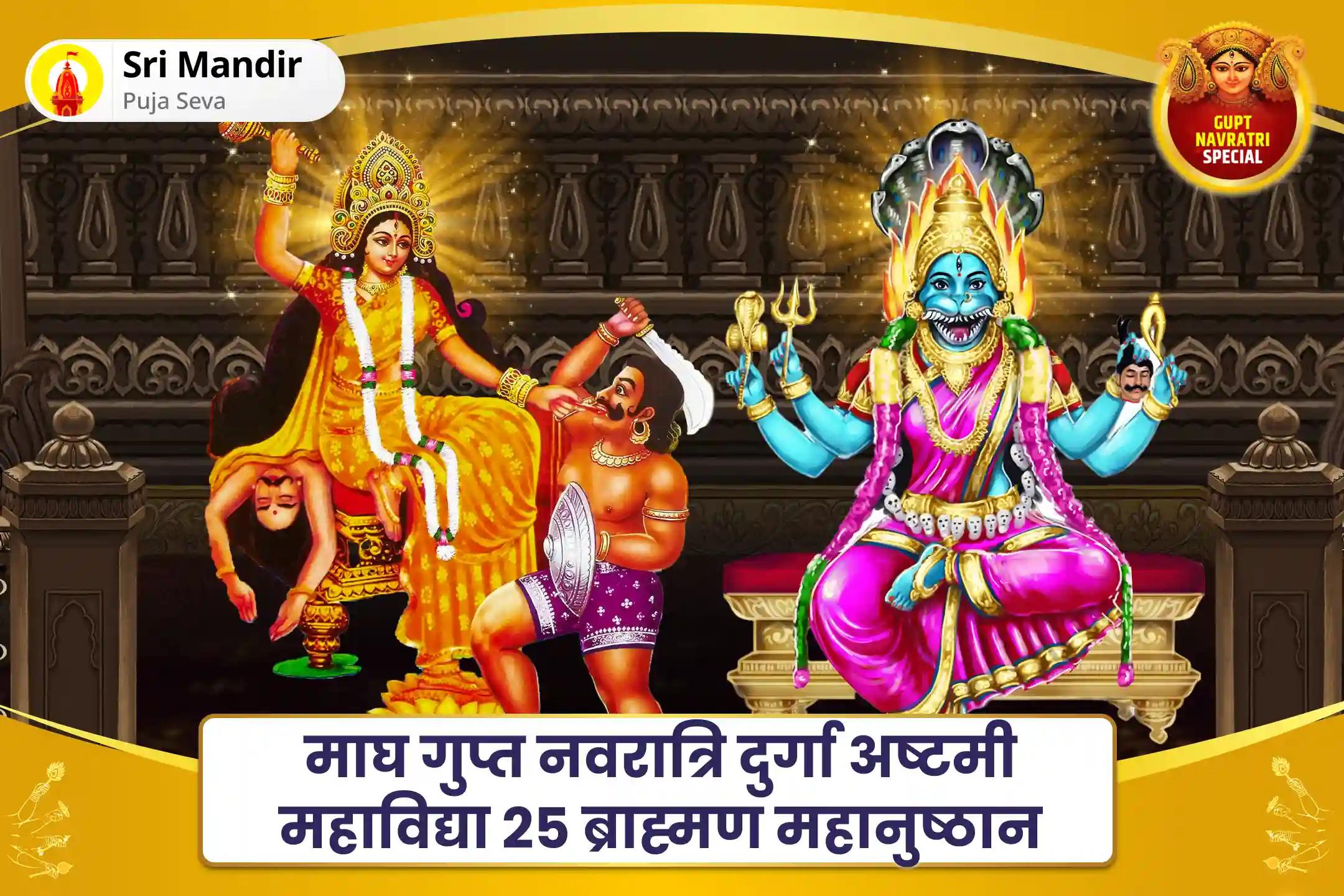बुरी शक्तियों एवं नकारात्मक प्रभावों से मुक्ति एवं दैवीय सुरक्षा के लिए  माघ गुप्त नवरात्रि दुर्गा अष्टमी महाविद्या 25 ब्राह्मण महानुष्ठान बगलामुखी-प्रत्यंगिरा कवच पाठ: 1,25,000 बगलामुखी मूल मंत्र जाप और हवन