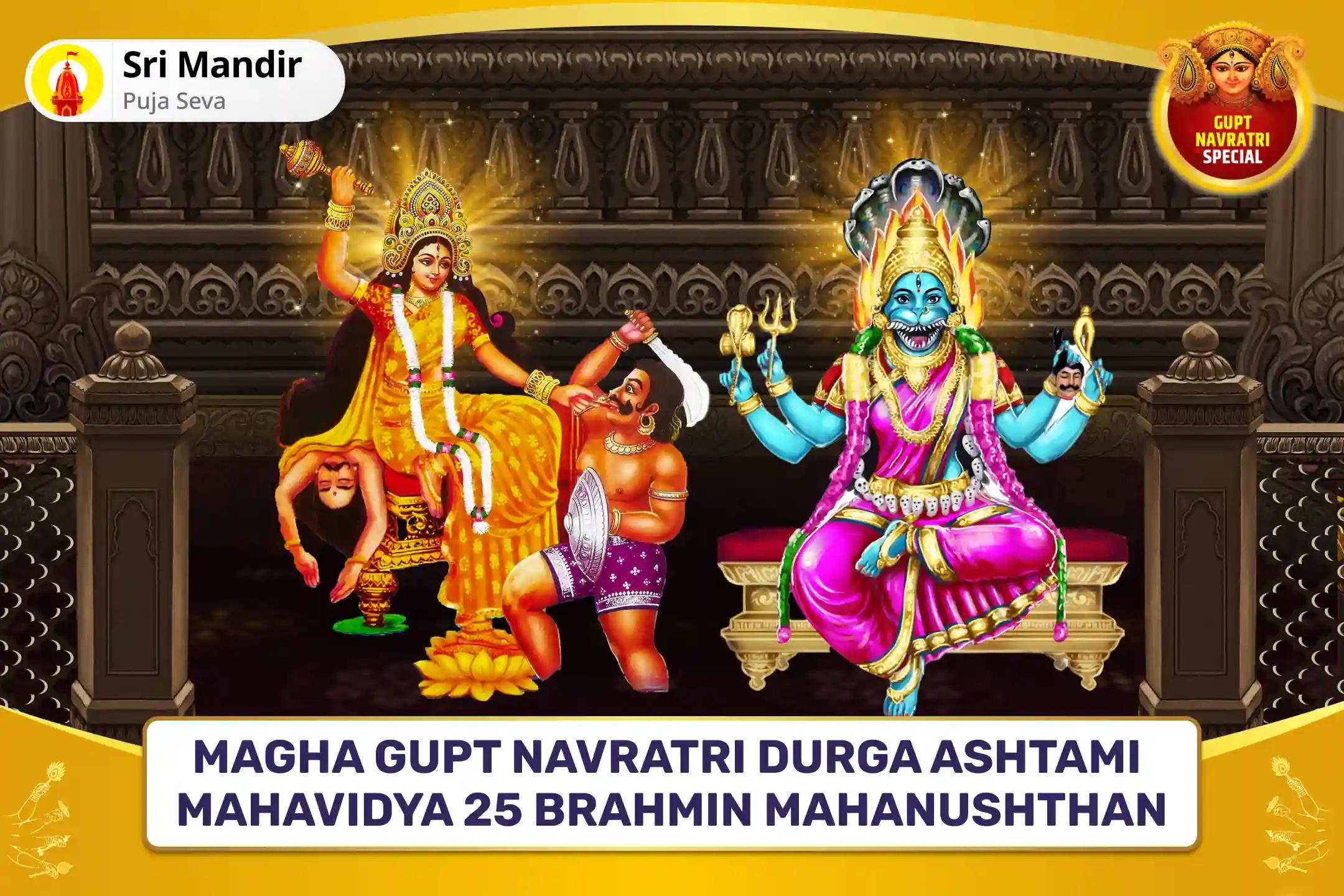 Magha Gupt Navratri Durga Ashtami Mahavidya 25 Brahmin Mahanushthan Bagalamukhi-Pratyangira Kavach Path, 1,25,000 Bagalamukhi Mool Mantra Jaap and Havan for Devi's Protection to Repel Malevolent Energies and Negative Influences