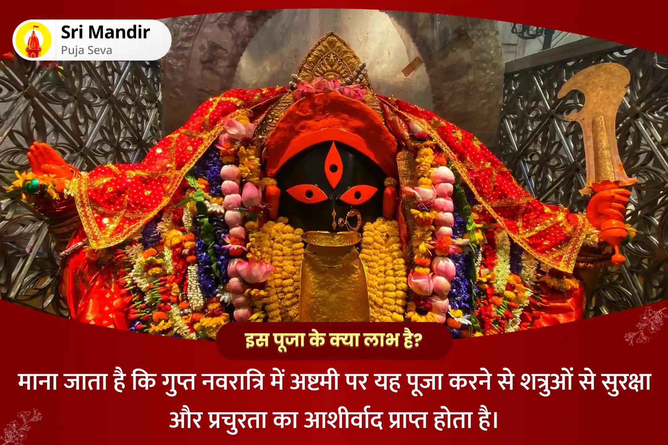 शत्रुओं से सुरक्षा और प्रचुरता प्राप्त करने के लिए माघ गुप्त नवरात्रि अष्टमी 5 महाविद्या अनुष्ठान मां काली, मां तारा, मां षोडशी, मां भुवनेश्वरी और मां बगलामुखी शक्ति समृद्धि महायज्ञ
