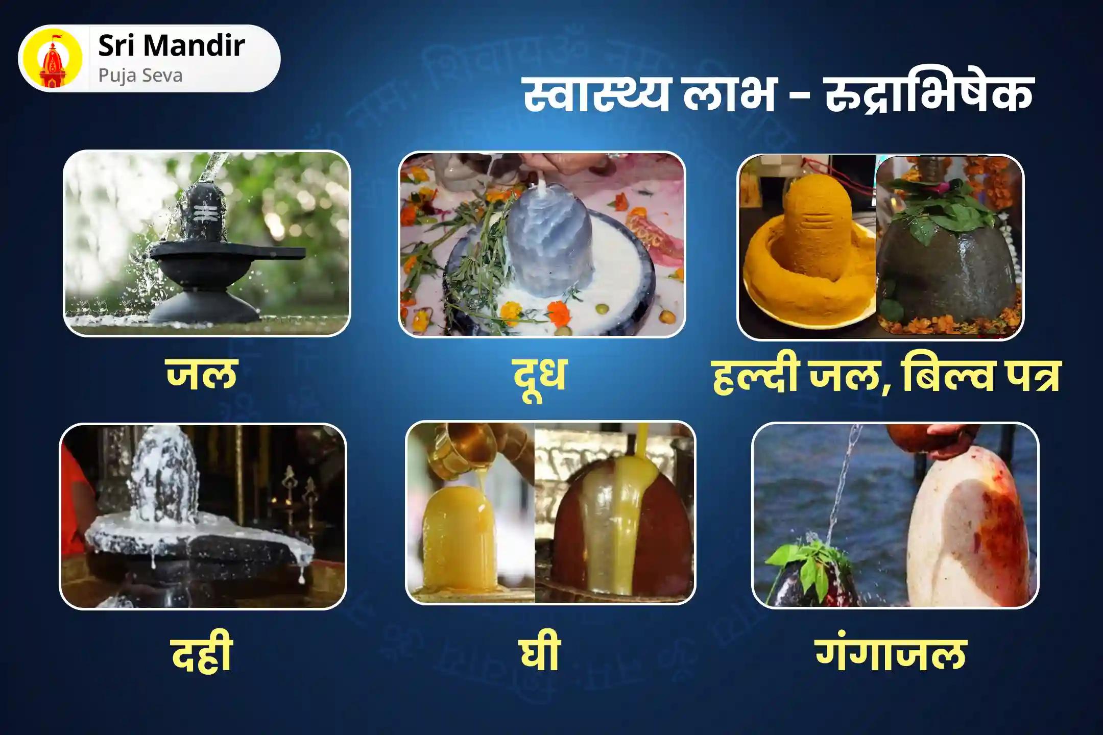 स्वास्थ्य, धन, समृद्धि के आशीर्वाद और बाधाओं को दूर करने के लिए महाशिवरात्रि 21 द्रव्य ज्योतिर्लिंग महारुद्राभिषेक 21 द्रव्य महा रुद्राभिषेक एवं 1,00,008 शिव पंचाक्षरी मंत्र जाप