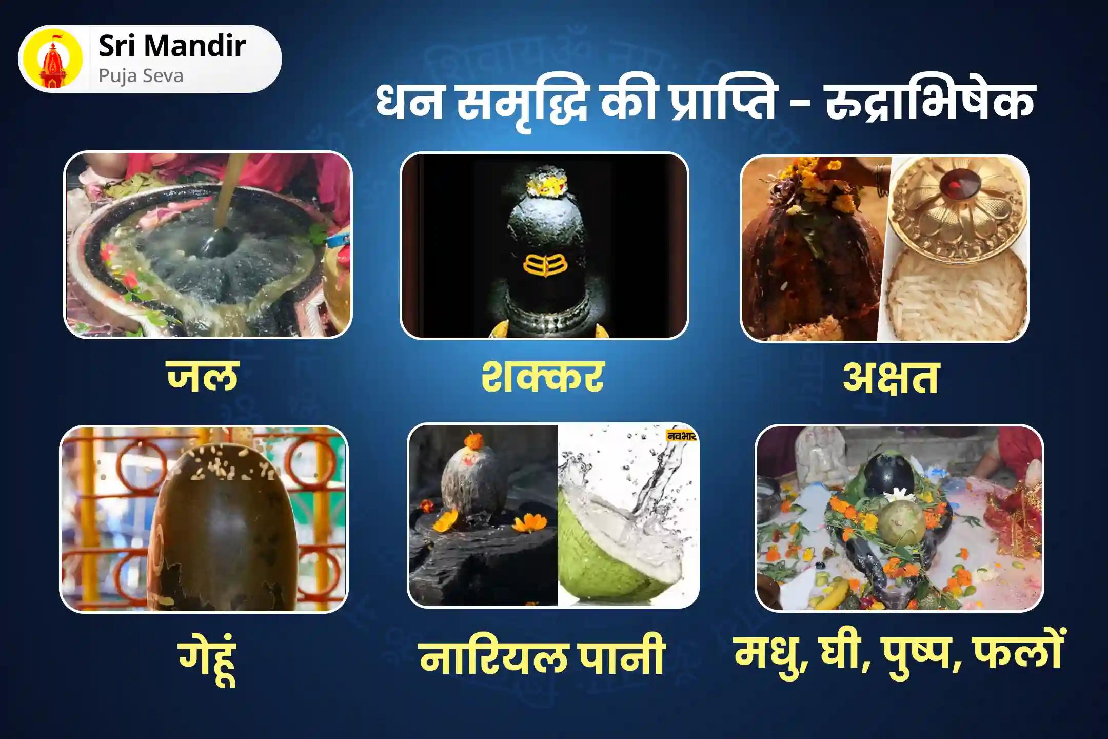 स्वास्थ्य, धन, समृद्धि के आशीर्वाद और बाधाओं को दूर करने के लिए महाशिवरात्रि 21 द्रव्य ज्योतिर्लिंग महारुद्राभिषेक 21 द्रव्य महा रुद्राभिषेक एवं 1,00,008 शिव पंचाक्षरी मंत्र जाप