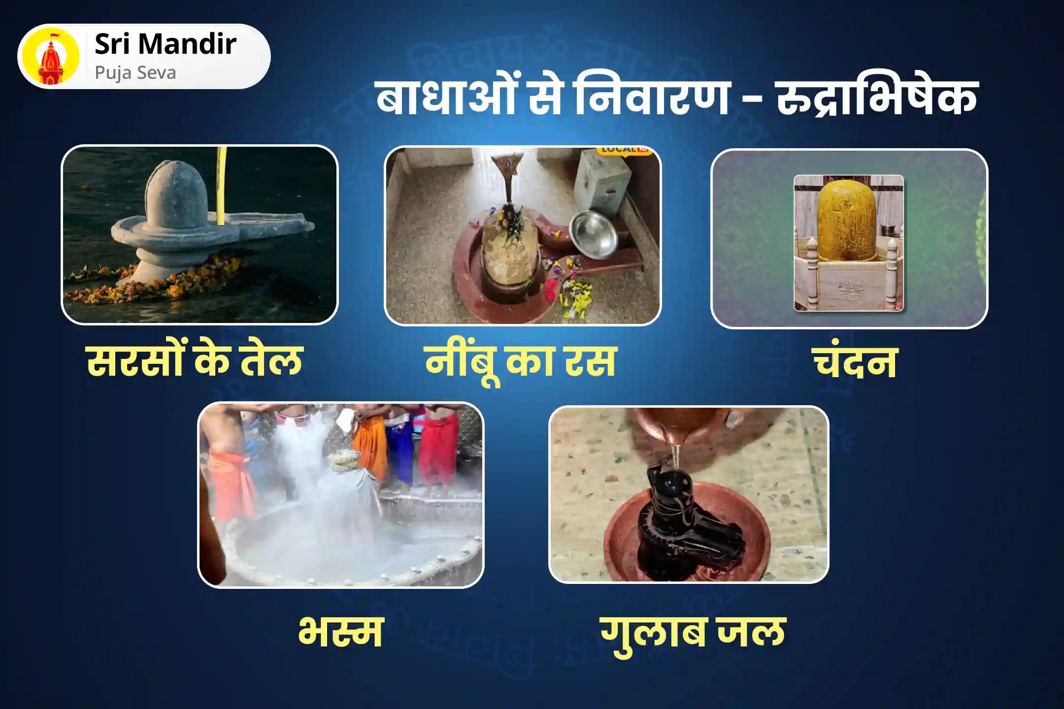 स्वास्थ्य, धन, समृद्धि के आशीर्वाद और बाधाओं को दूर करने के लिए महाशिवरात्रि 21 द्रव्य ज्योतिर्लिंग महारुद्राभिषेक 21 द्रव्य महा रुद्राभिषेक एवं 1,00,008 शिव पंचाक्षरी मंत्र जाप