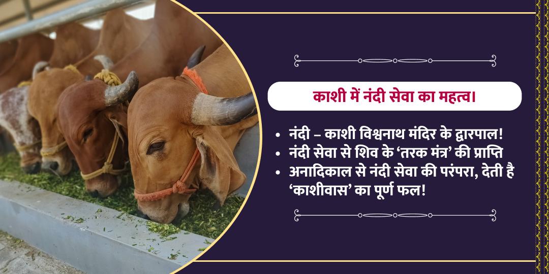 महाशिवरात्रि शिव नंदी शाला नंदी सेवा
