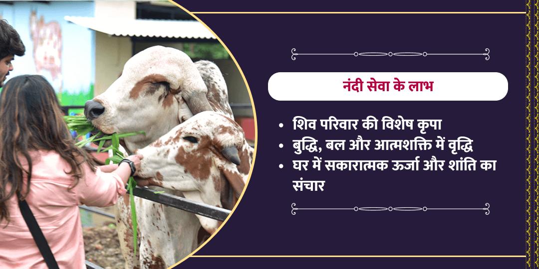महाशिवरात्रि शिव नंदी शाला नंदी सेवा