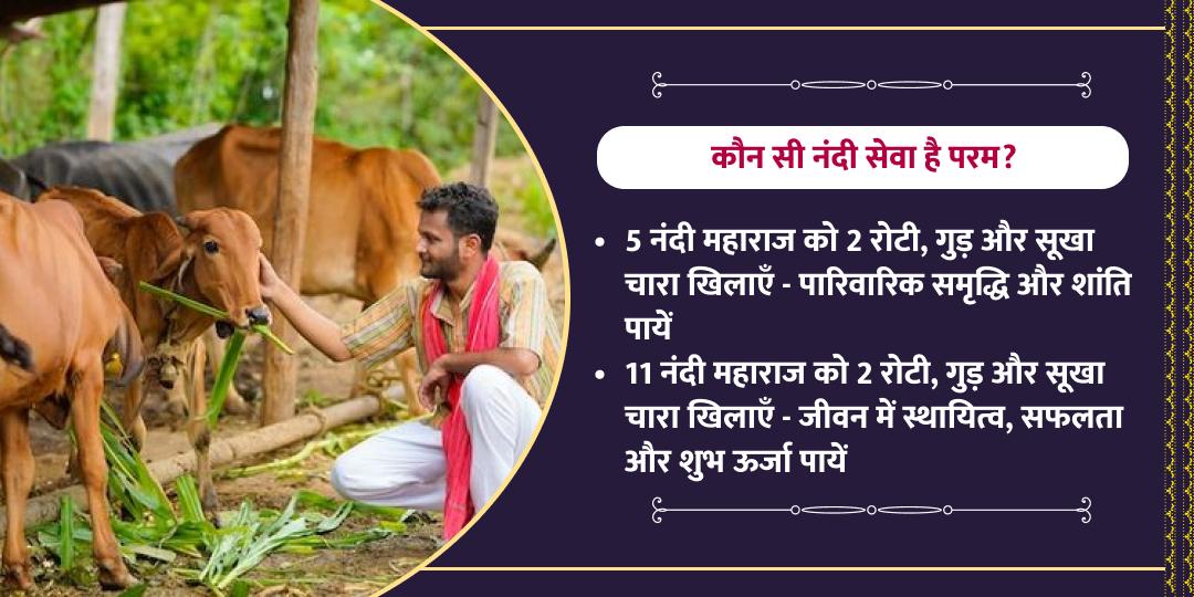 महाशिवरात्रि शिव नंदी शाला नंदी सेवा