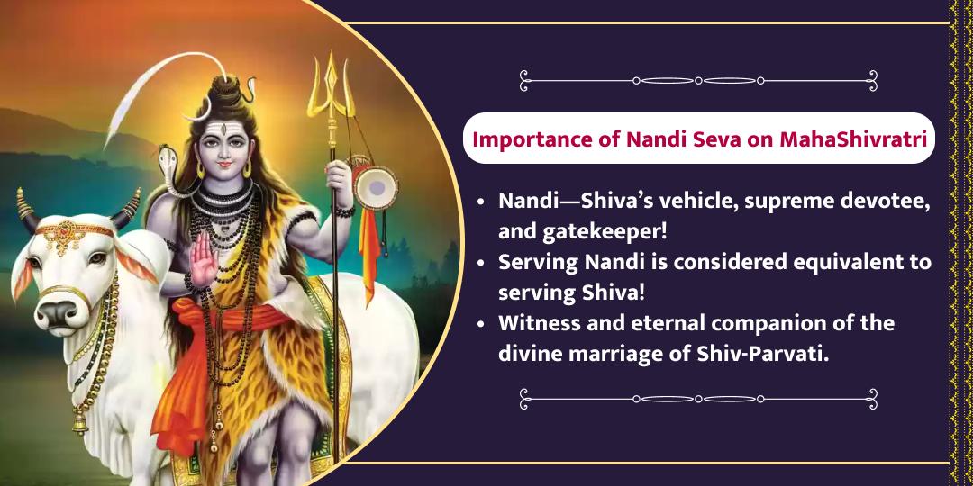 MahaShivratri Shiv Nandi Shala Nandi Seva