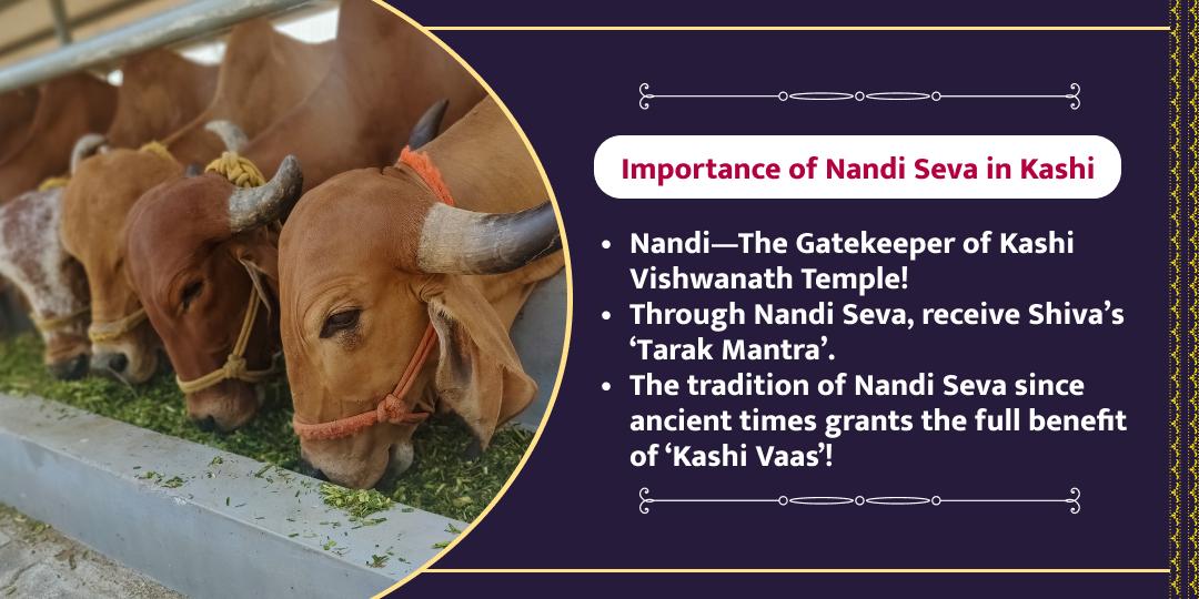 MahaShivratri Shiv Nandi Shala Nandi Seva