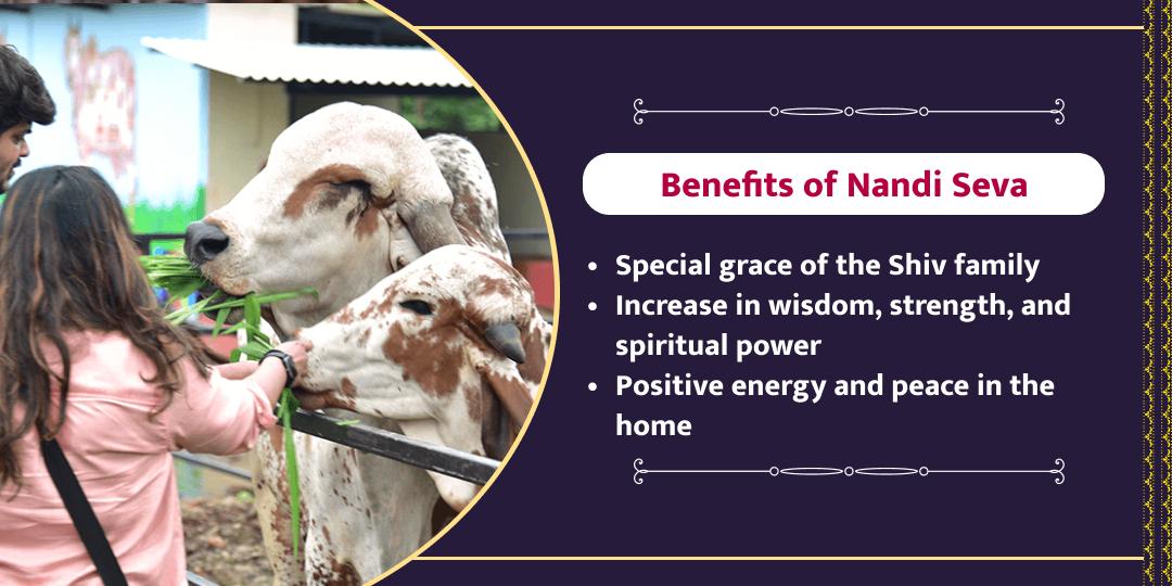 MahaShivratri Shiv Nandi Shala Nandi Seva