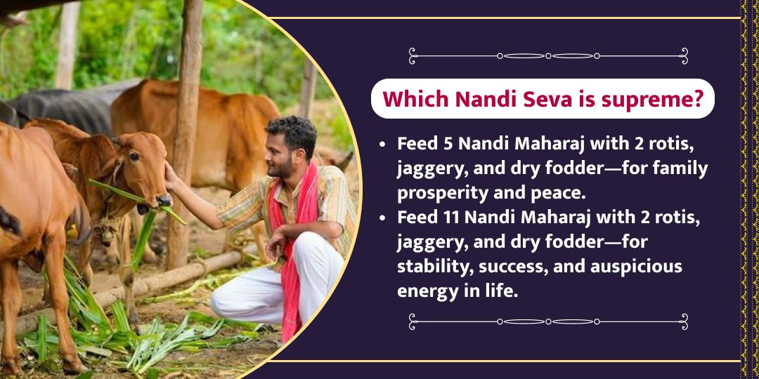 MahaShivratri Shiv Nandi Shala Nandi Seva