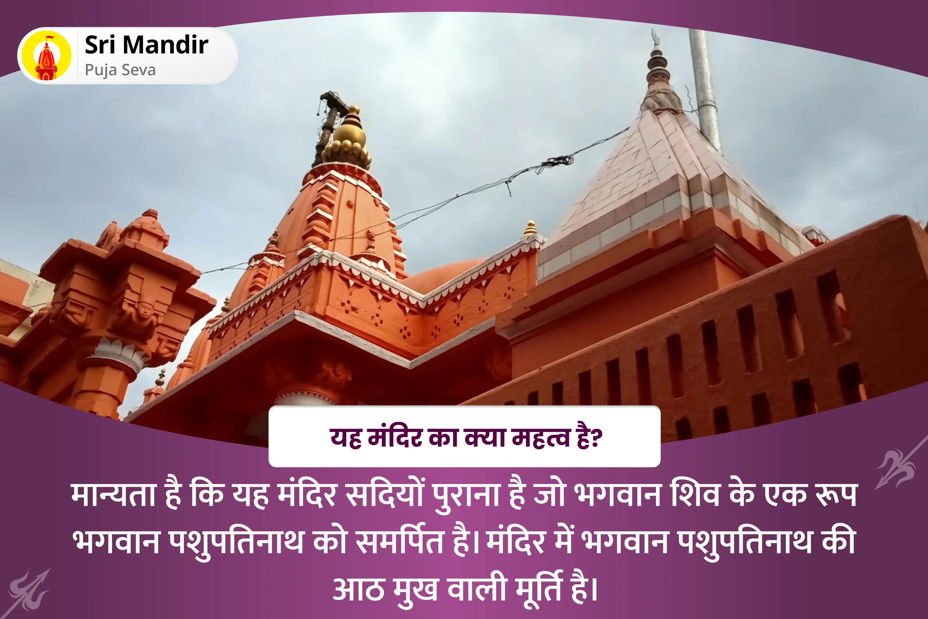 मानसिक स्पष्टता और बेहतर निर्णय लेने के आशीर्वाद के लिए राहु-केतु शांति नक्षत्र विशेष राहु-केतु पीड़ा शांति पूजा एवं शिव रुद्राभिषेक