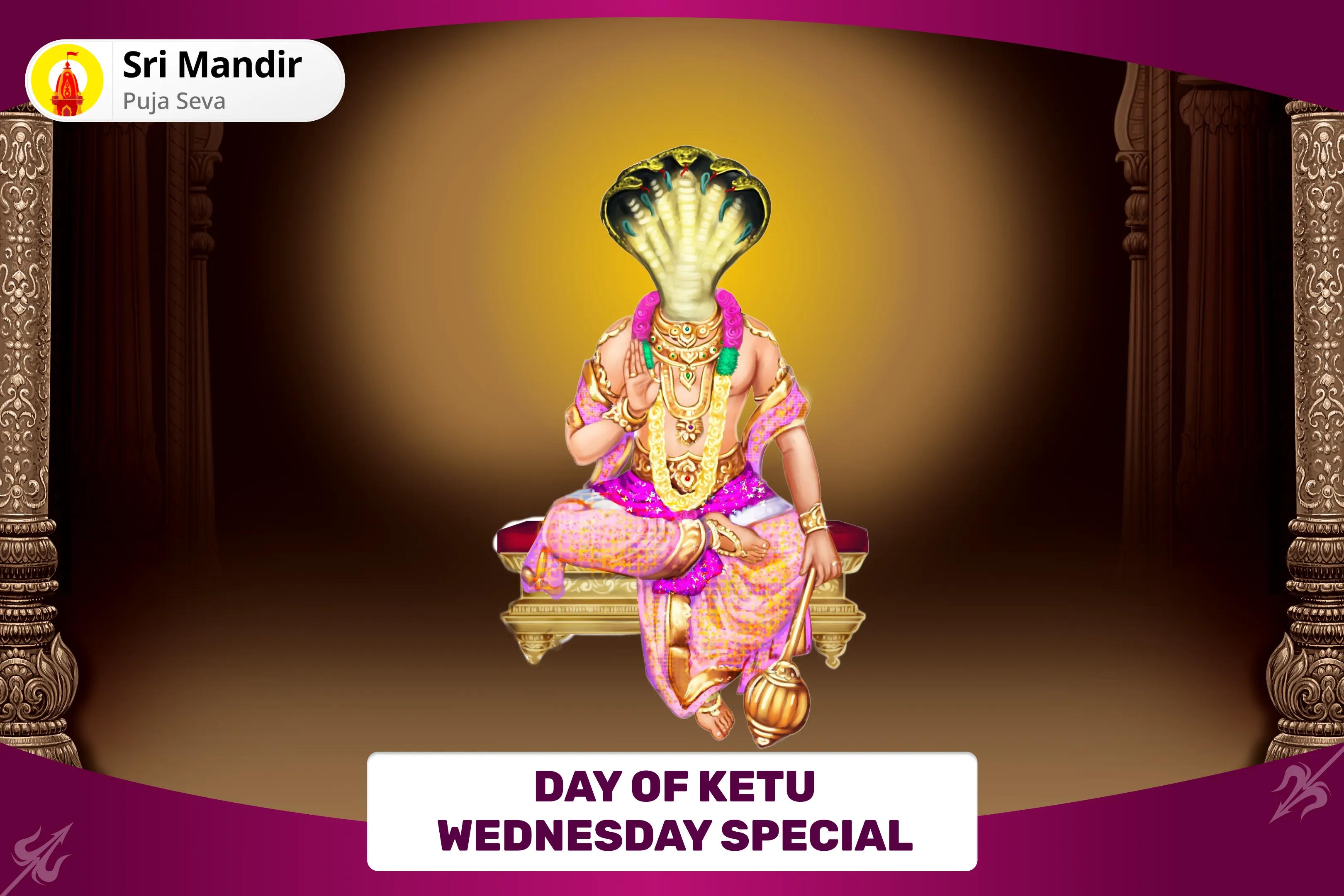  Day of Ketu Wednesday Special Kaal Sarp Dosh Shanti Puja and Shiv Rudrabhishek for Fearlessness and Achieving Mental Stability