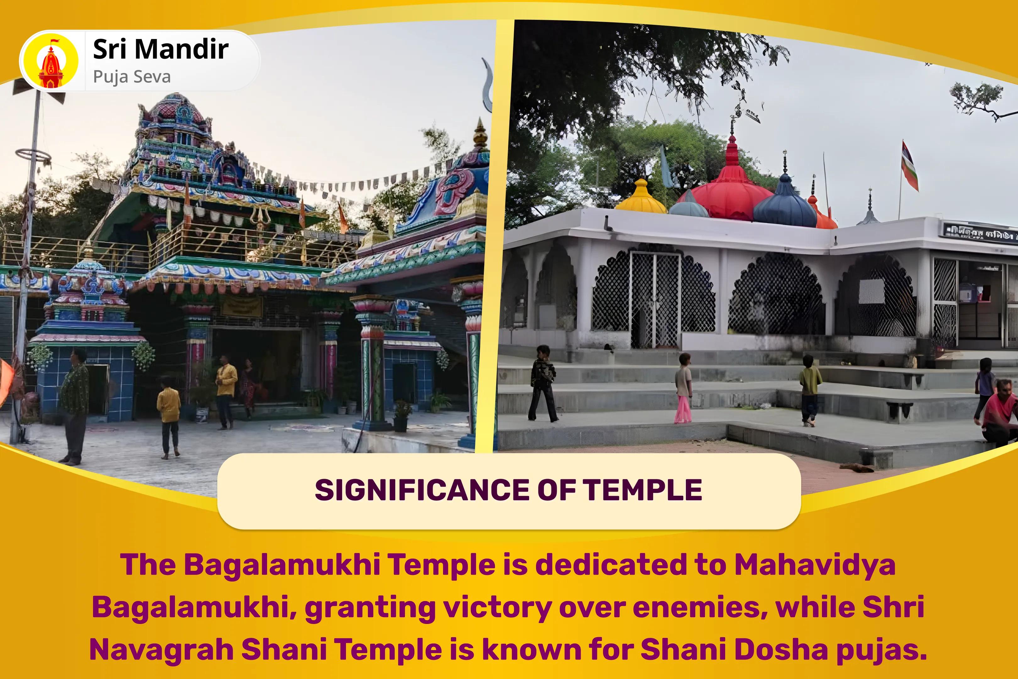 Saturday Maa Bagalamukhi-Shani Combo Special Maa Bagalamukhi Tantra Yukta Havan and Shani Til Tel Abhishek to get Blessing for Victory over Enemies and in Court Cases